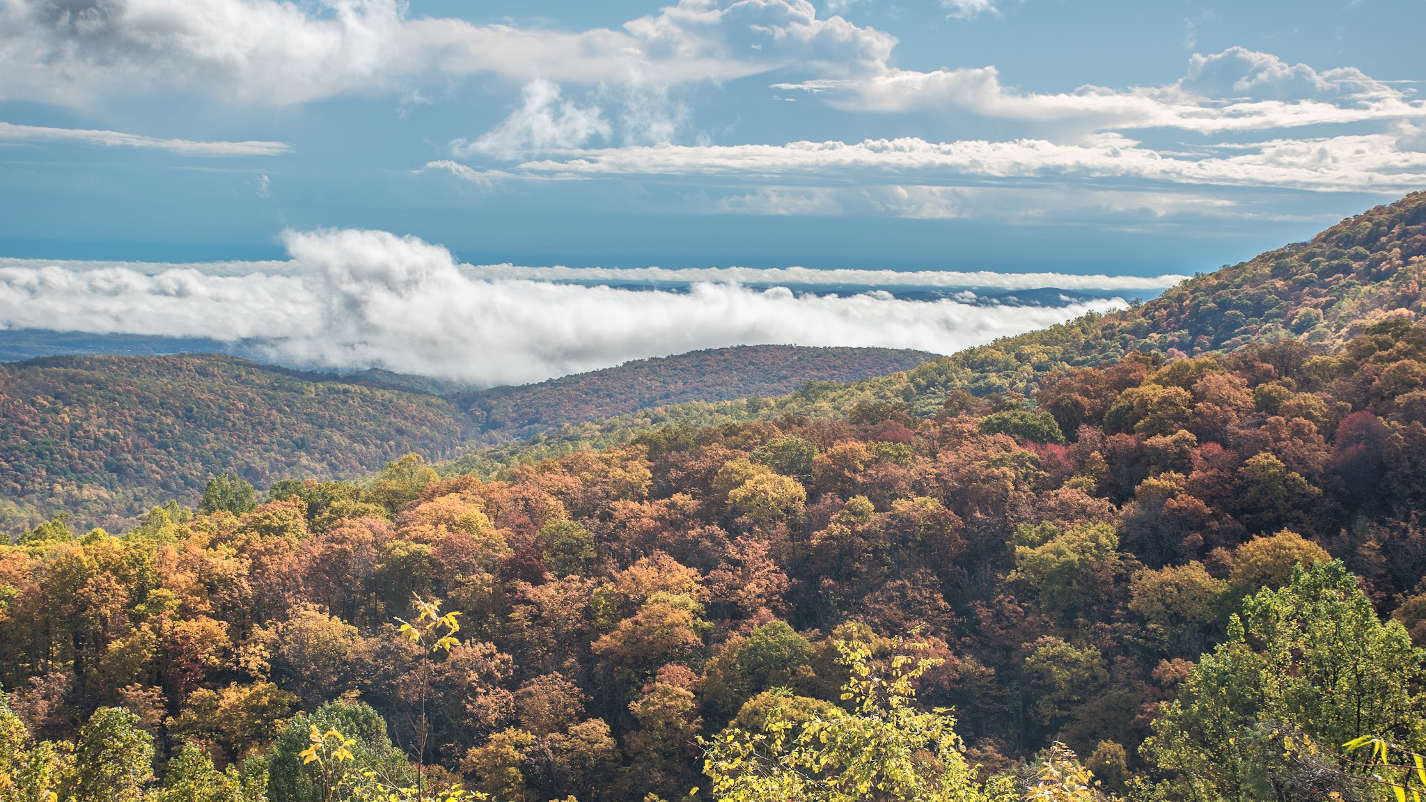 Lewis Mountain Campground