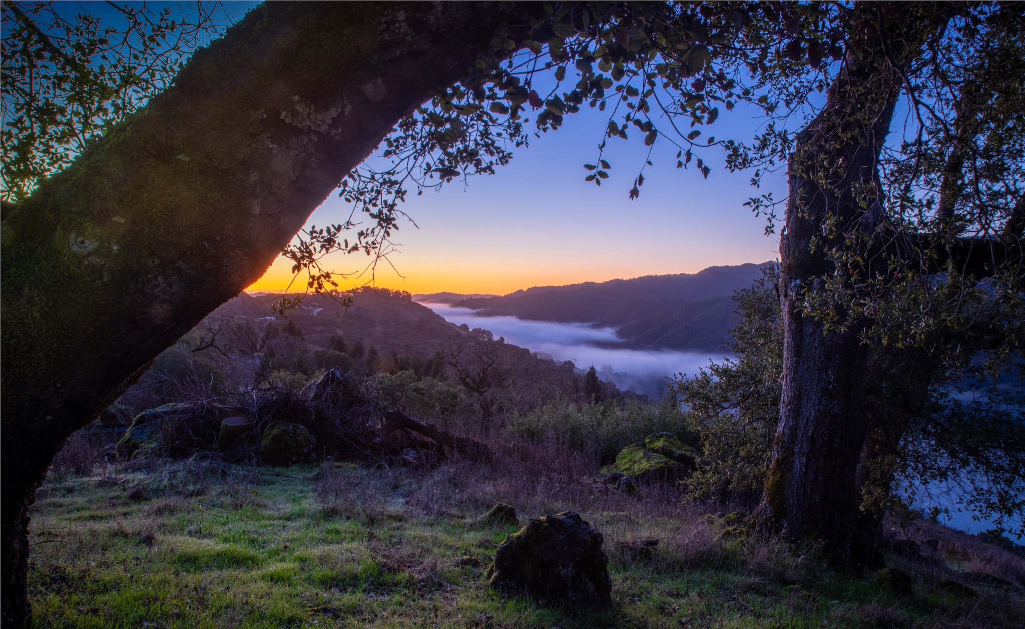 Liberty Glen (Lake Sonoma)