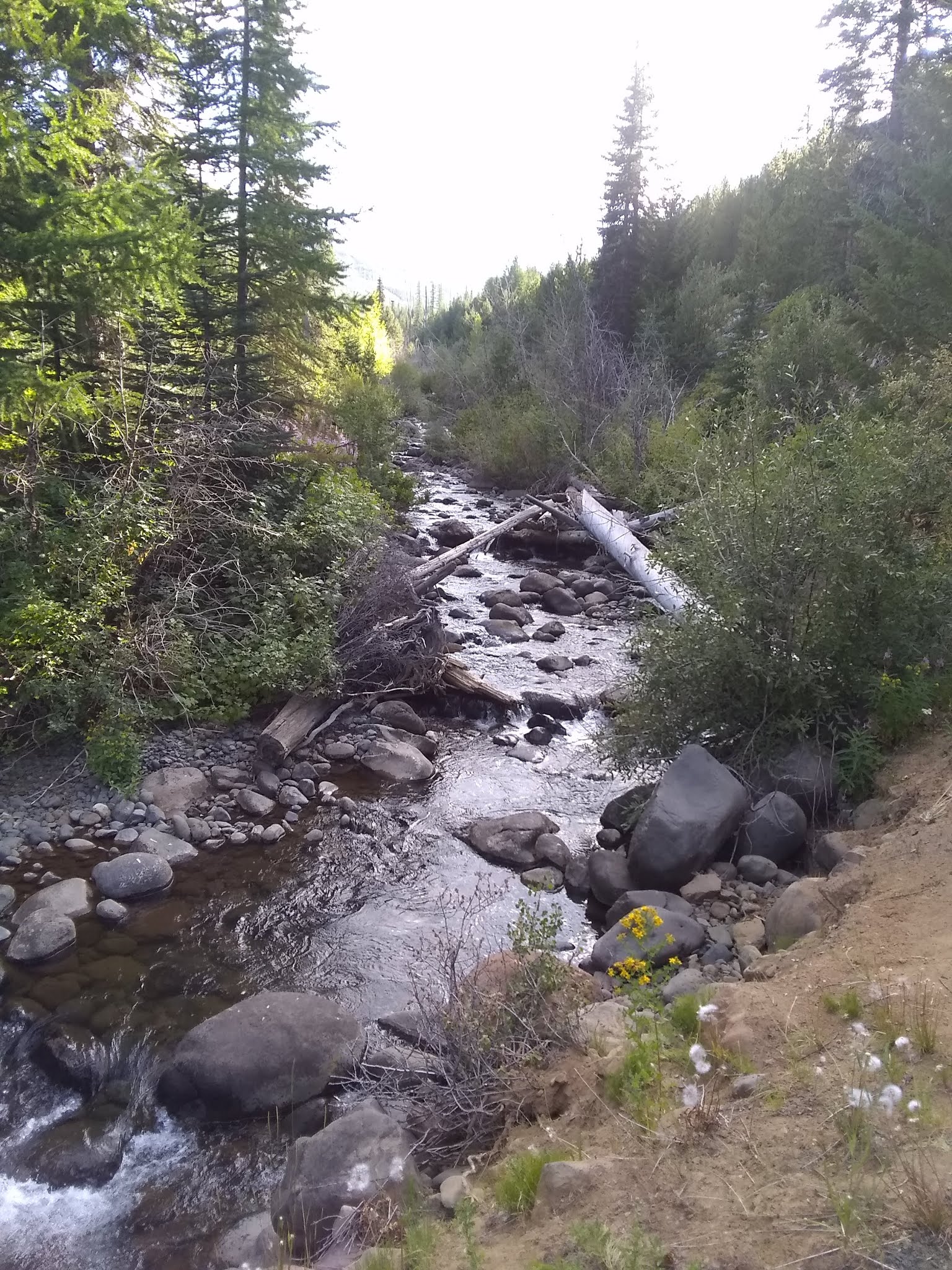 Lick Creek Campground