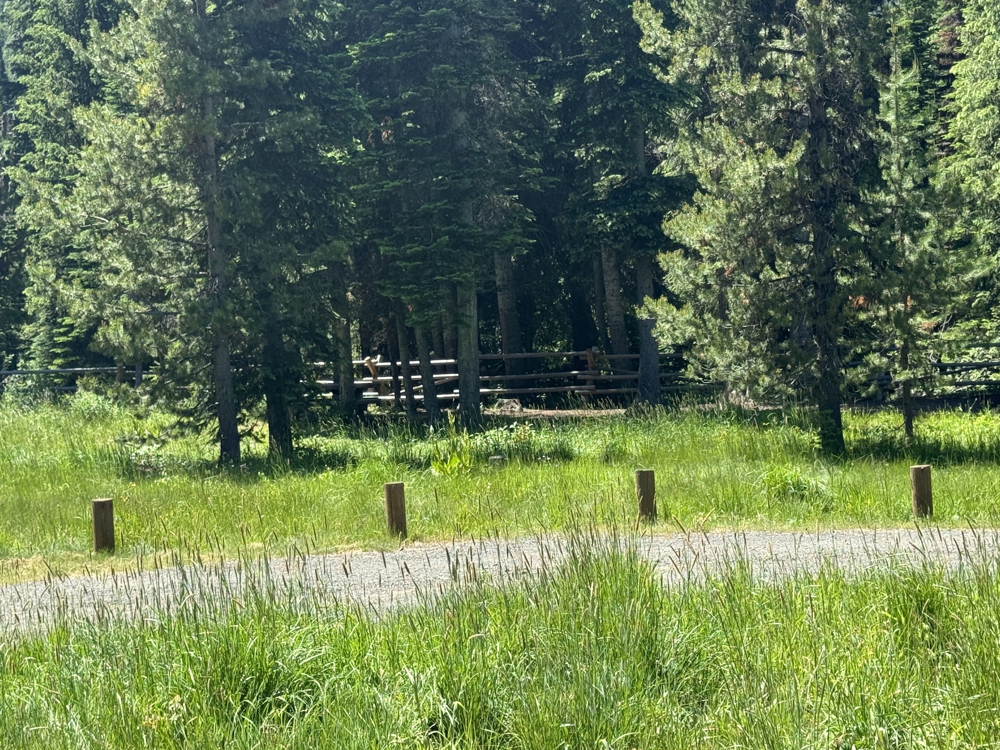 Lick Creek Campground