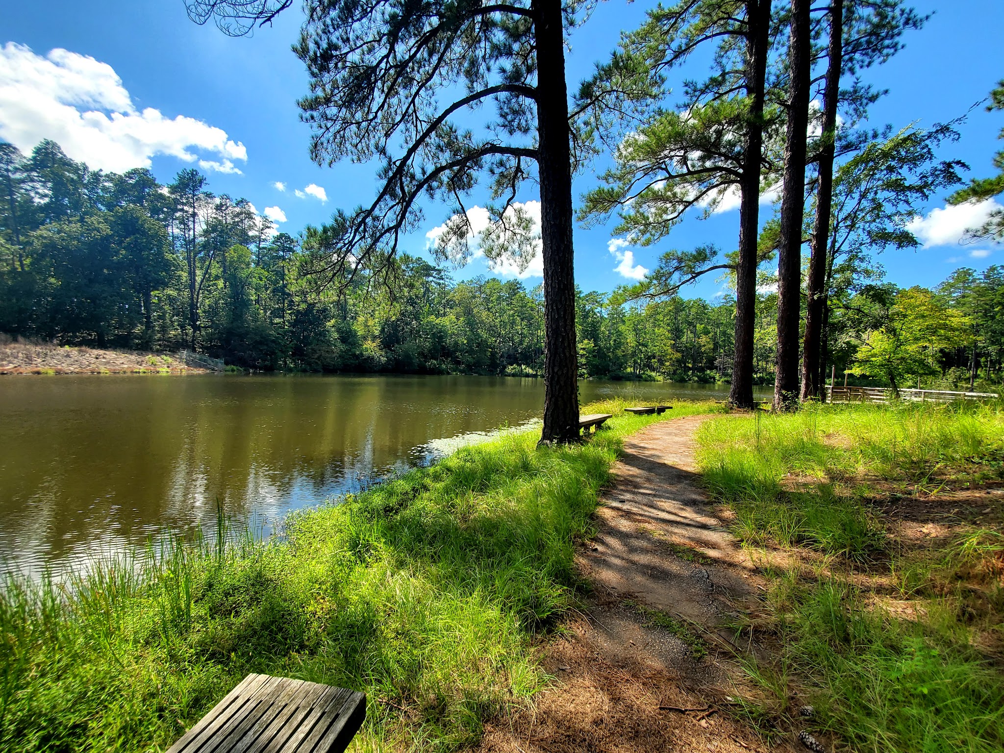 Lick Fork Lake Recreation Area