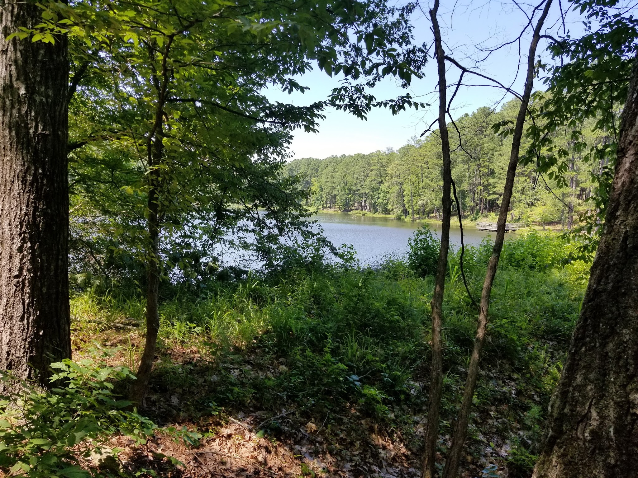 Lick Fork Lake Recreation Area