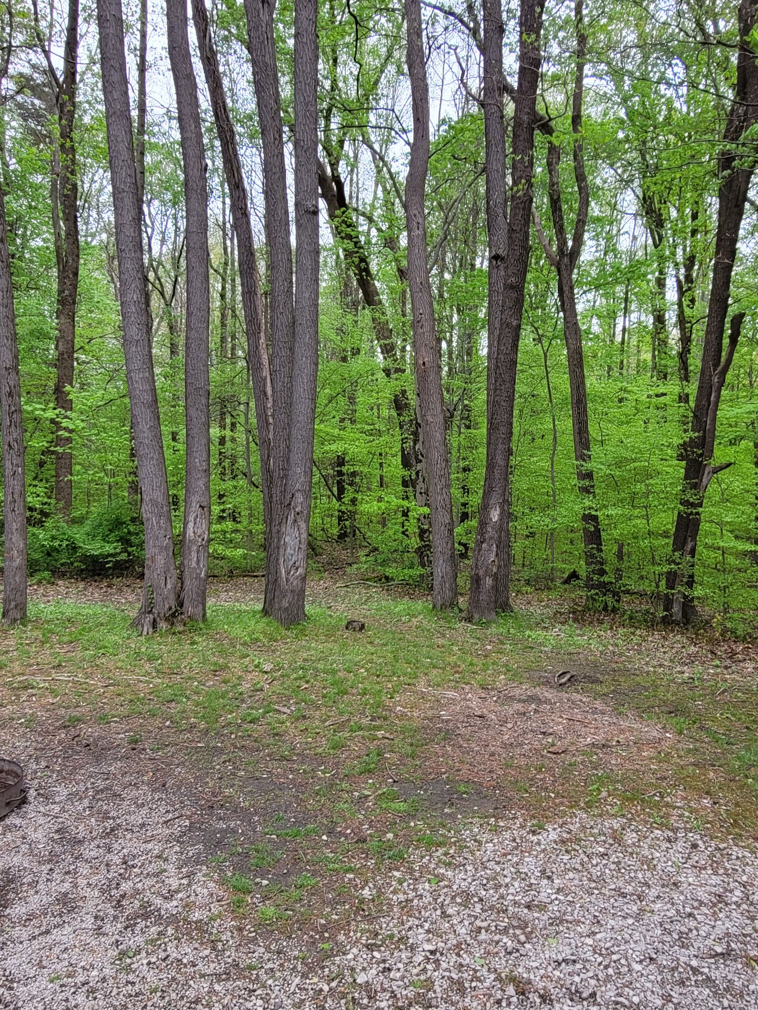 Lieber State Recreation Area