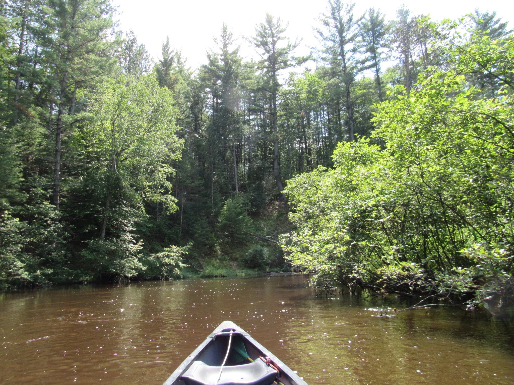 Lincoln Bridge State Forest Campground