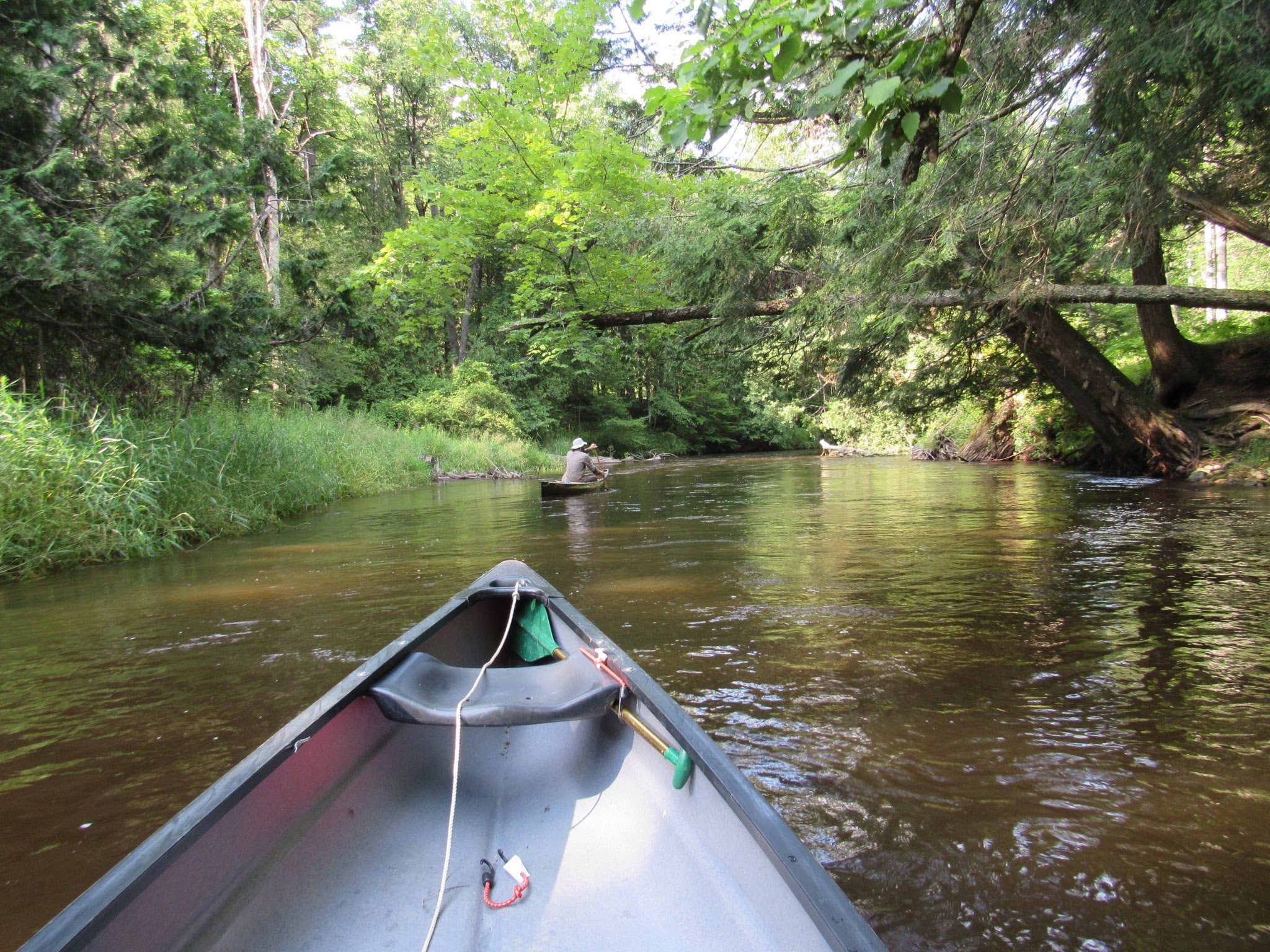 Lincoln Bridge State Forest Campground