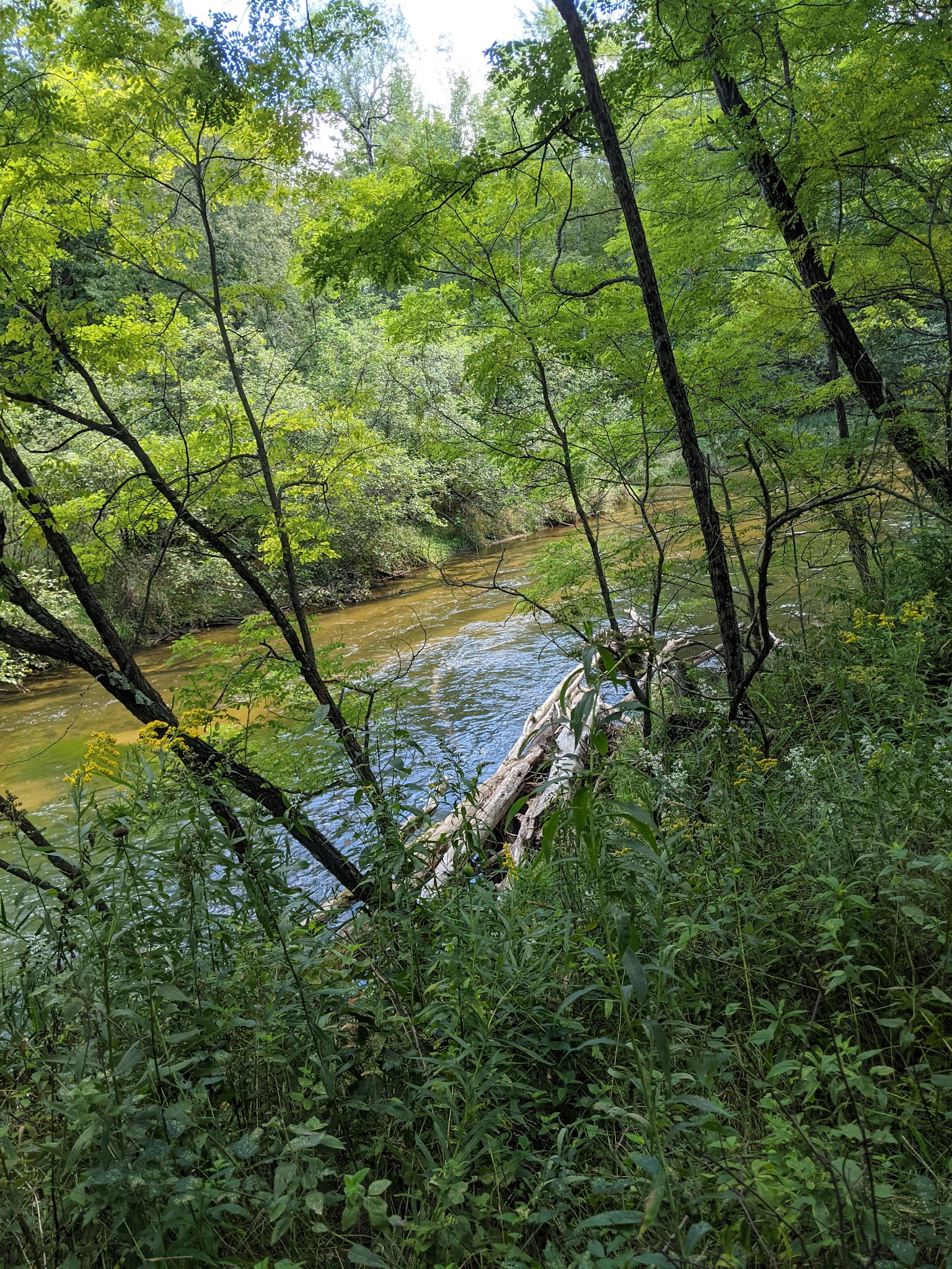 Lincoln Bridge State Forest Campground