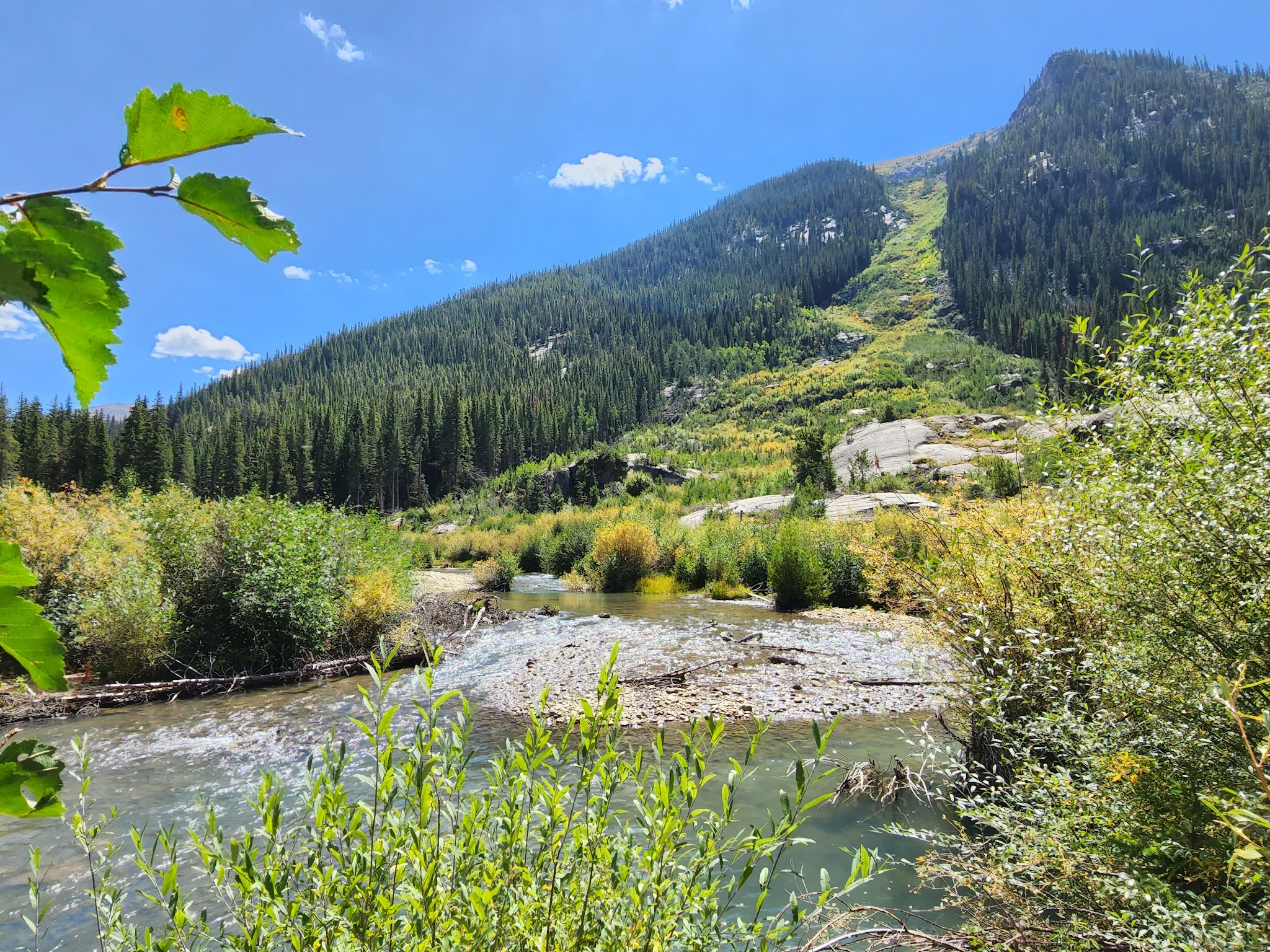 Lincoln Creek Dispersed Campground