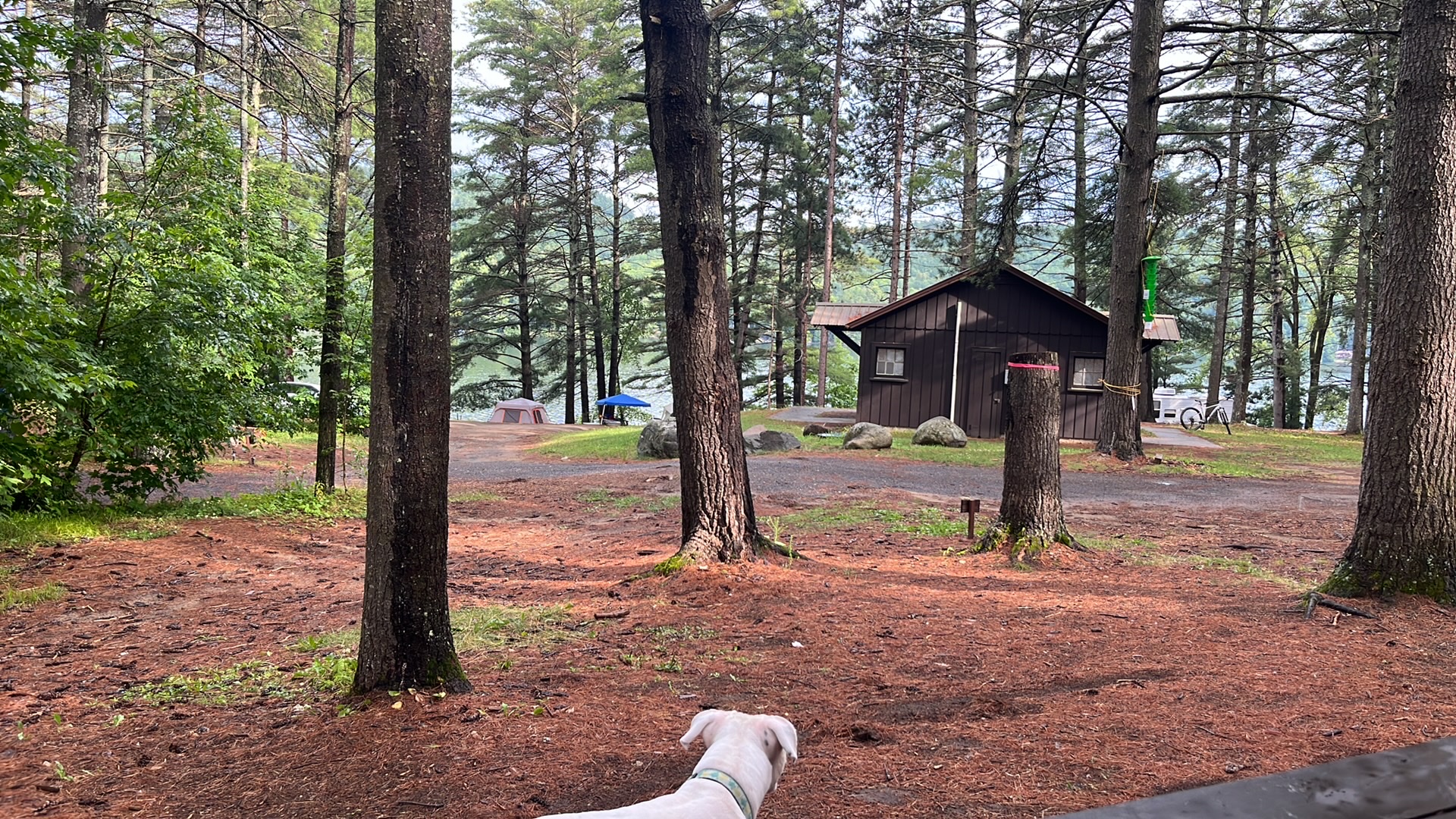 Lincoln Pond Campground