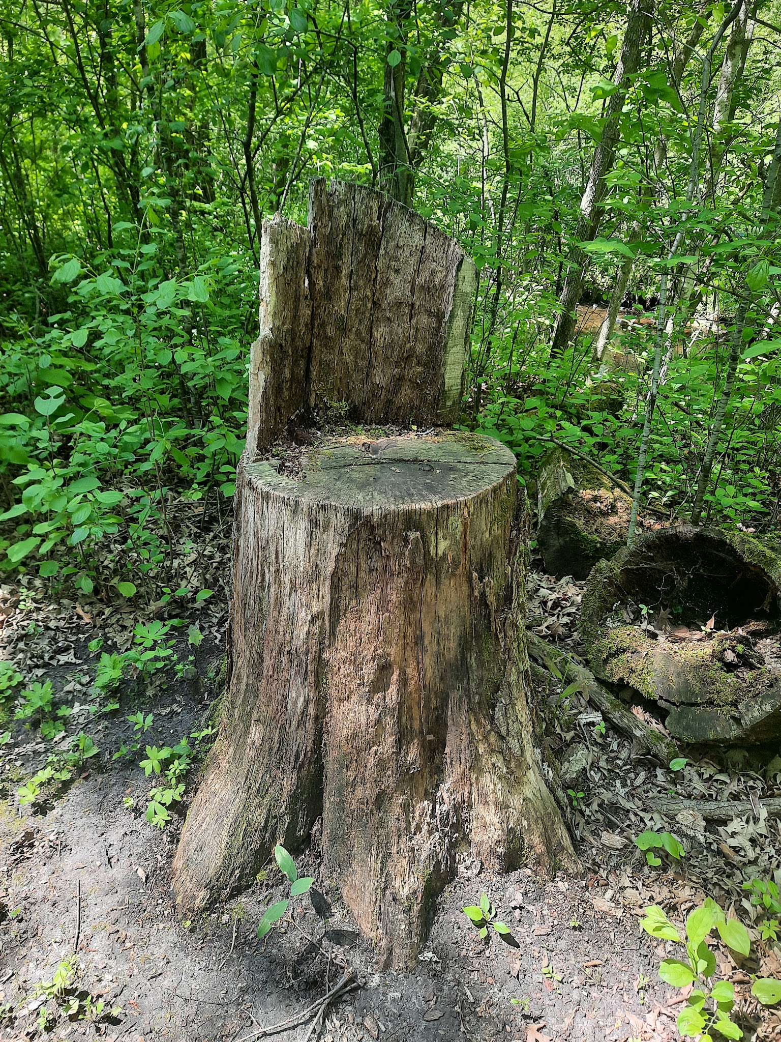 Lindbergh Campground