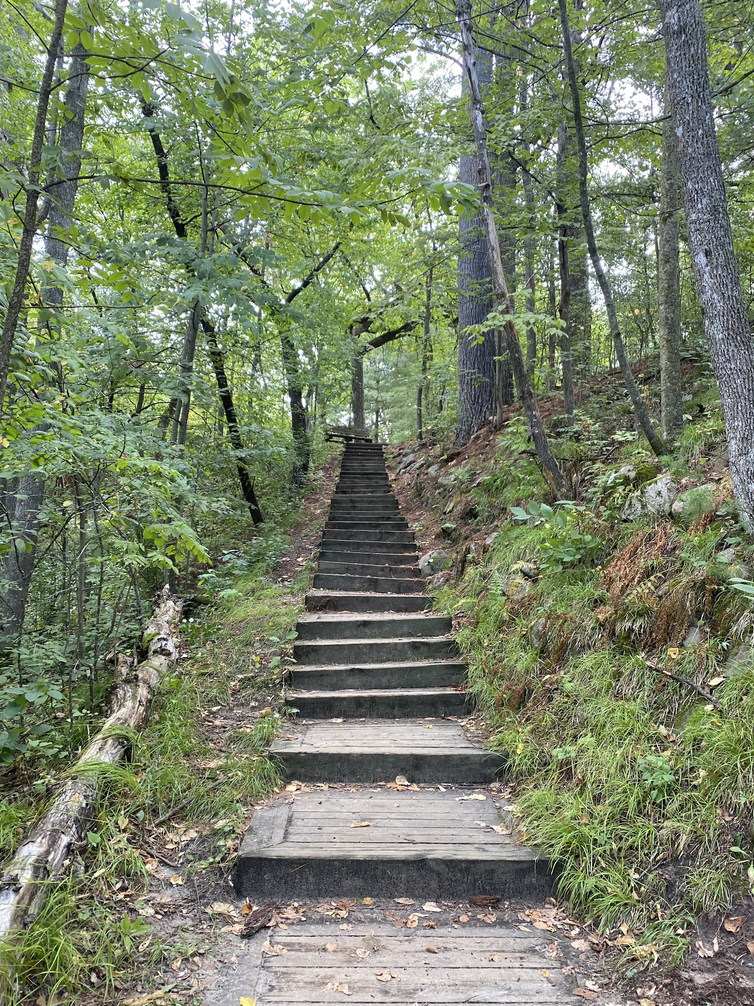 Lindbergh Campground