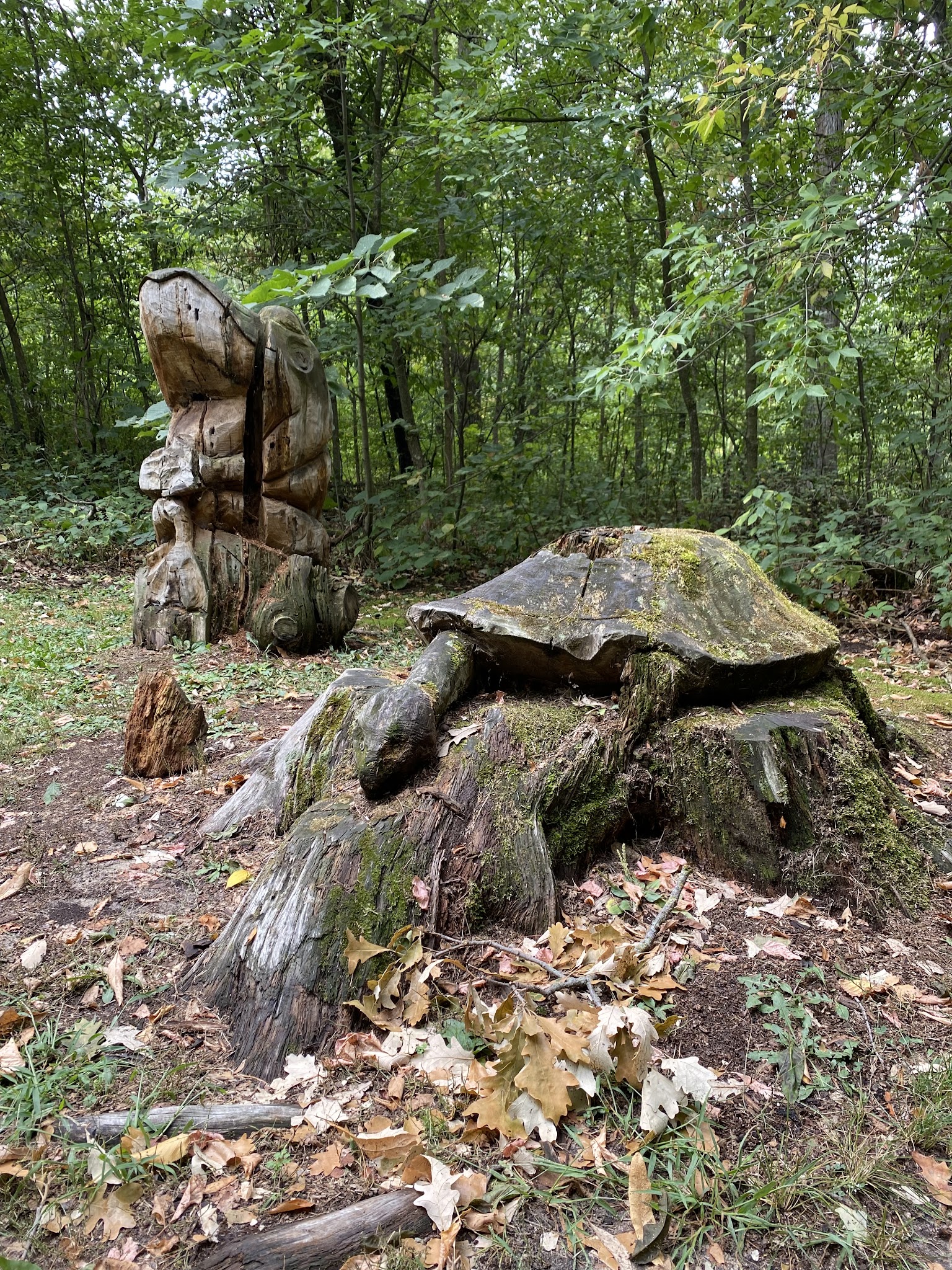 Lindbergh Campground