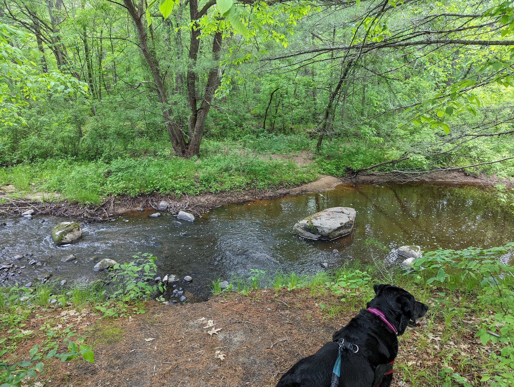 Lindbergh Campground