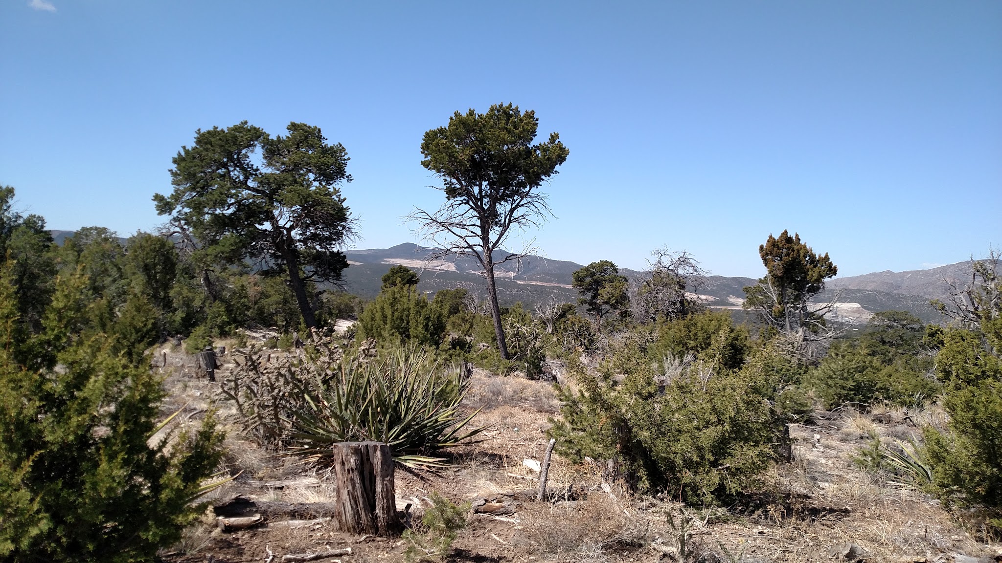 Links Tract Campground