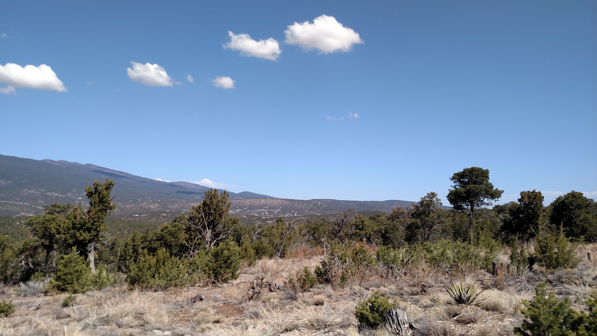 Links Tract Campground