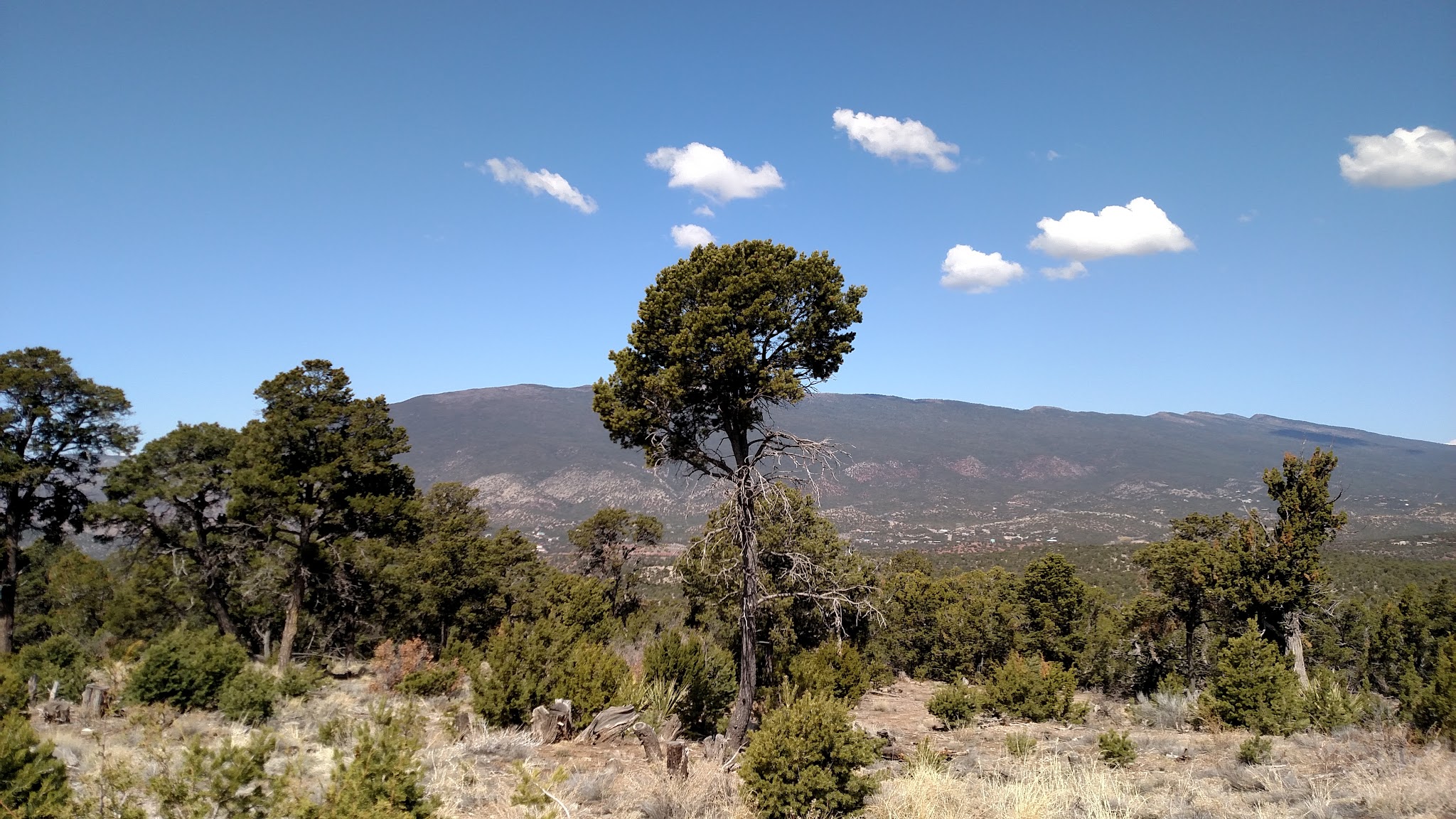 Links Tract Campground