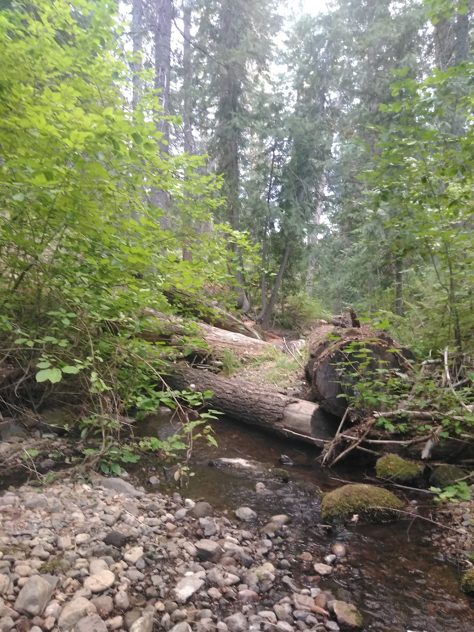 Little Badger Campground