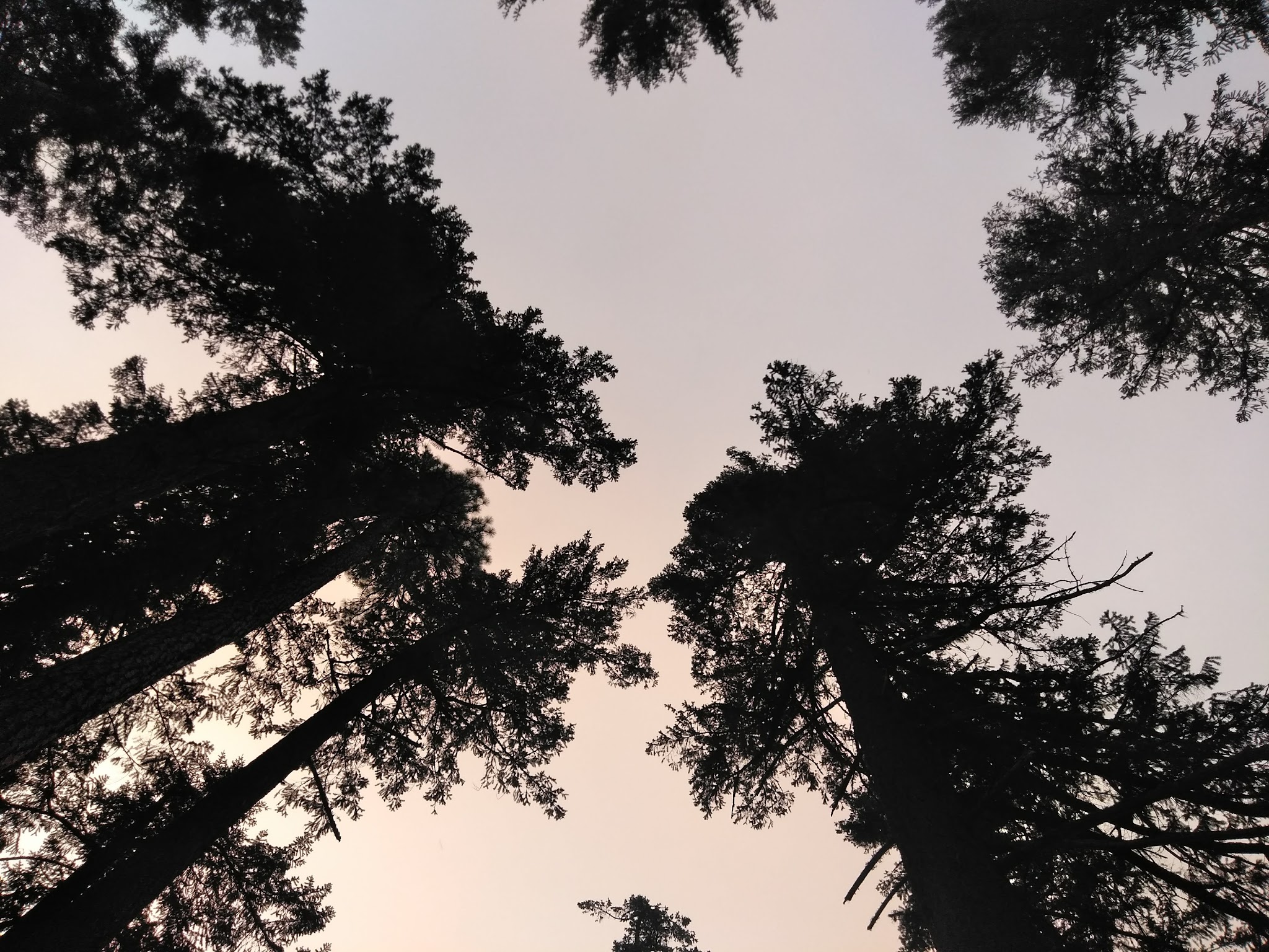 Little Badger Campground