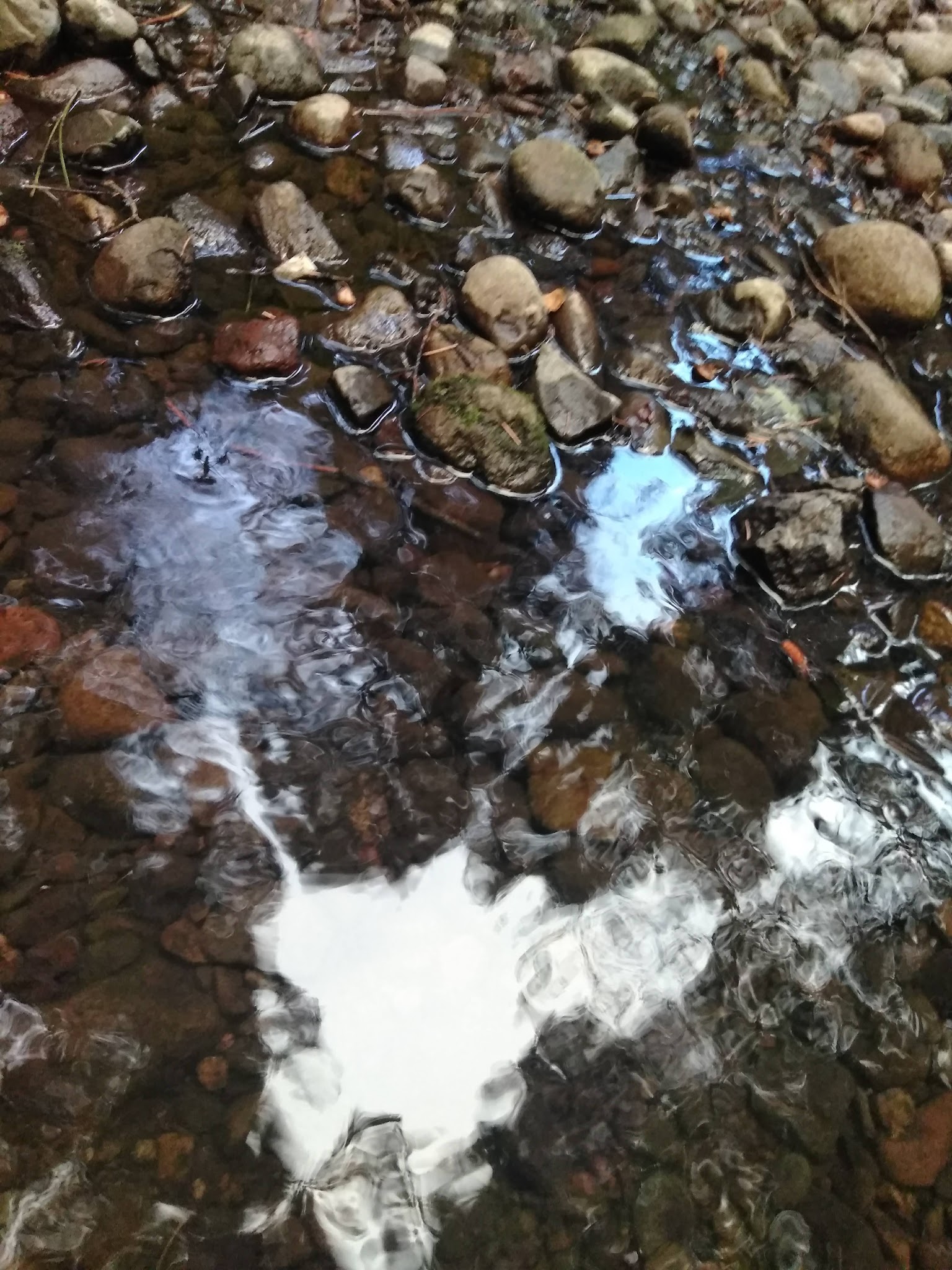 Little Badger Campground