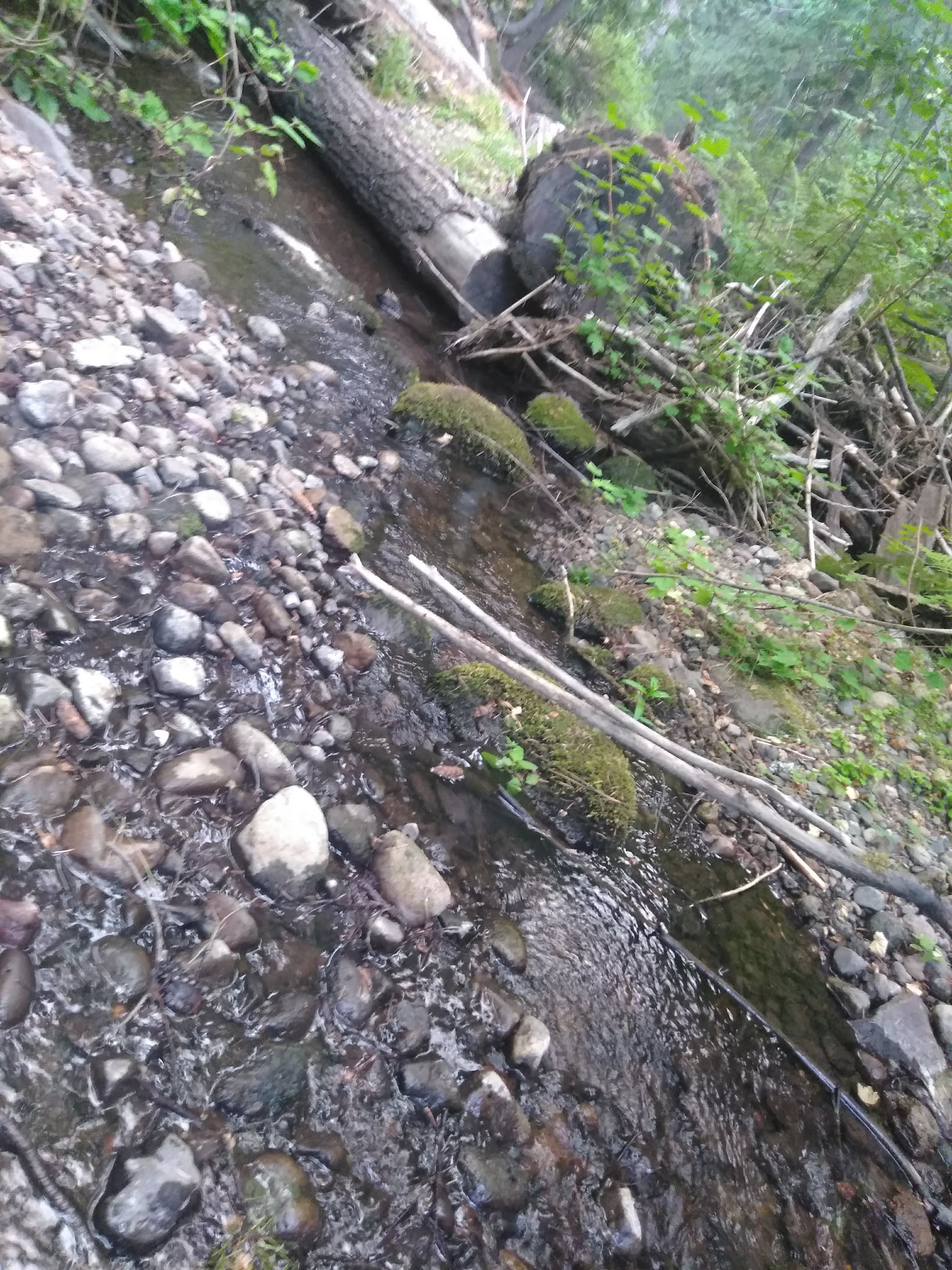 Little Badger Campground