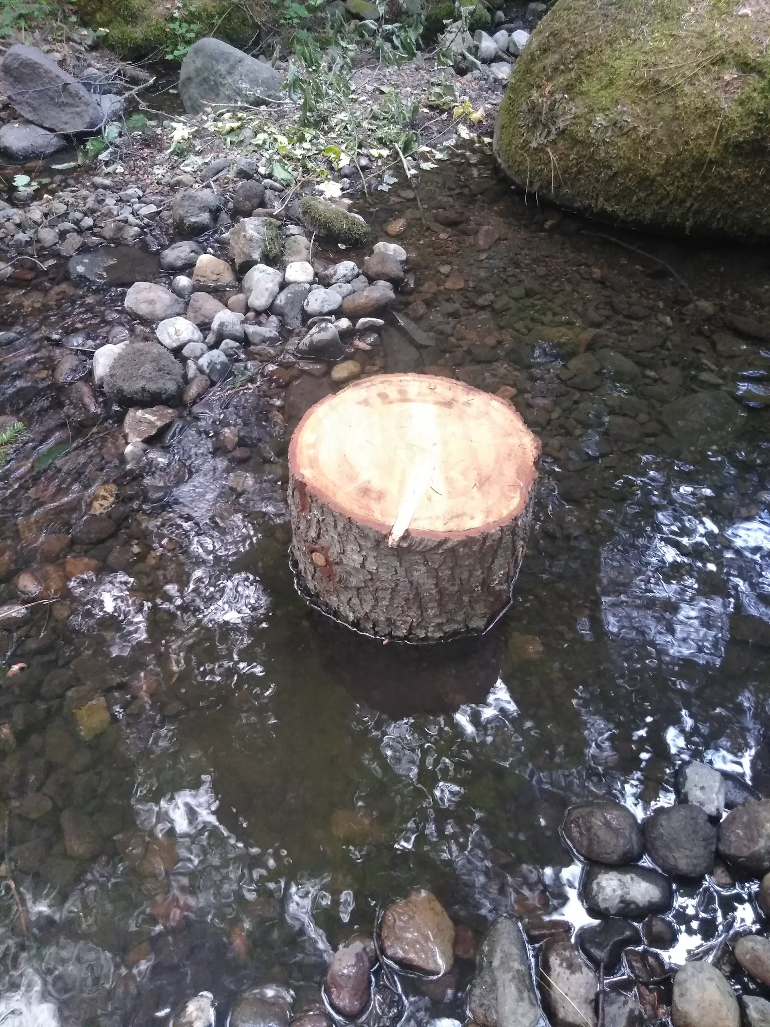 Little Badger Campground