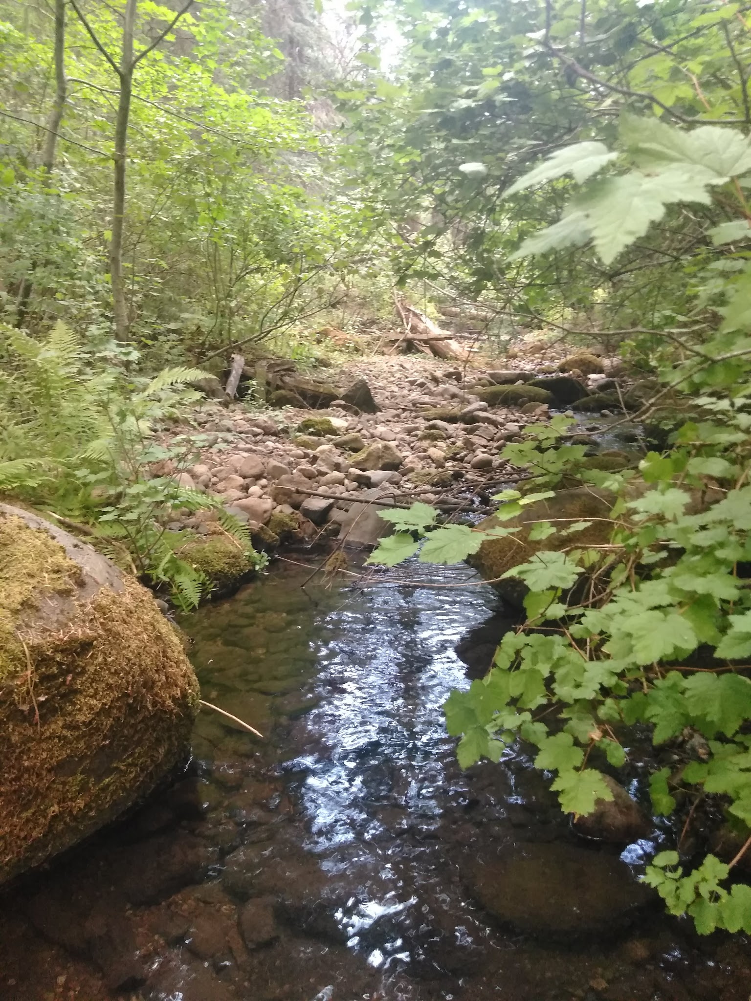 Little Badger Campground