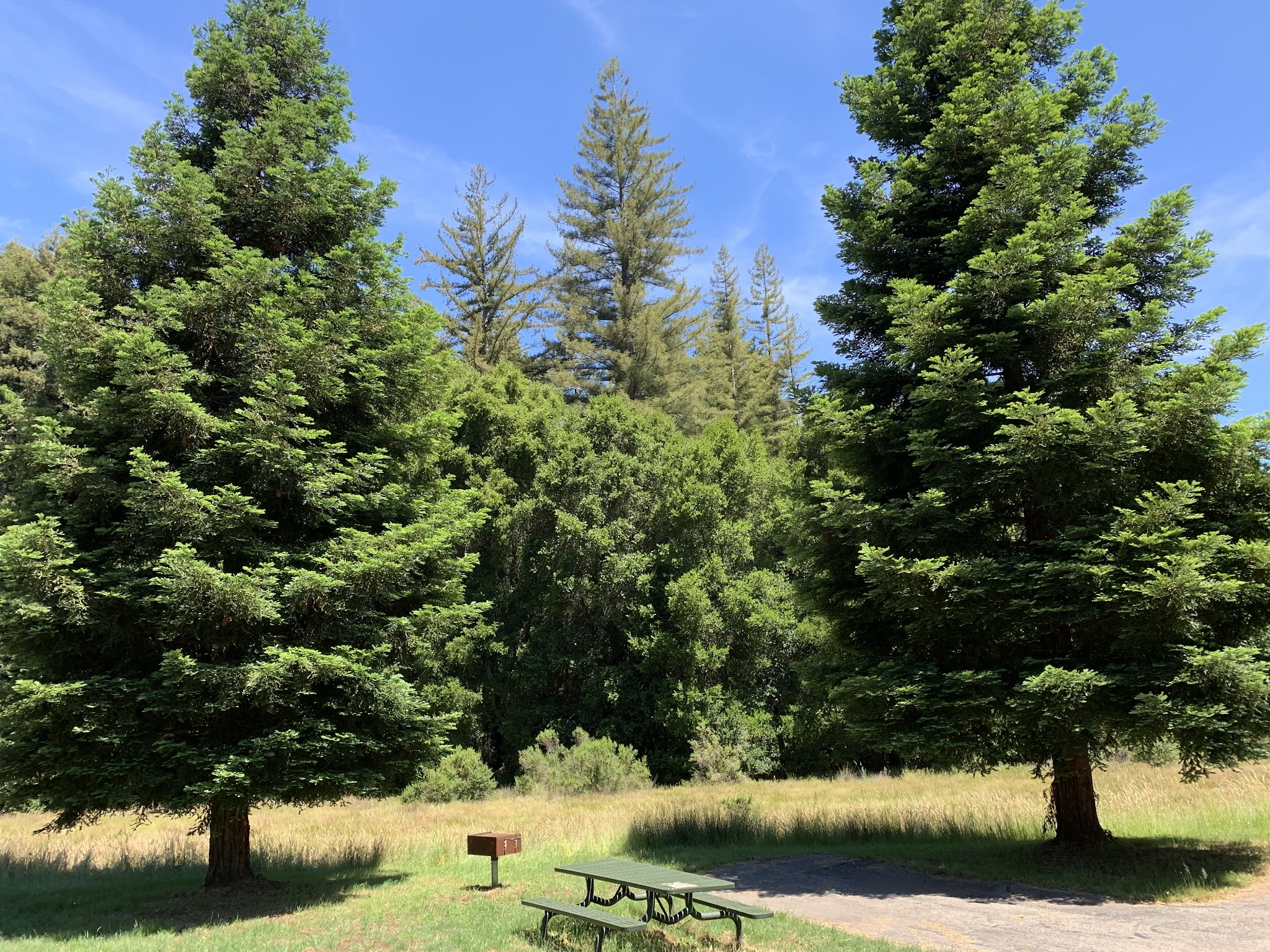 Stargazers Campground