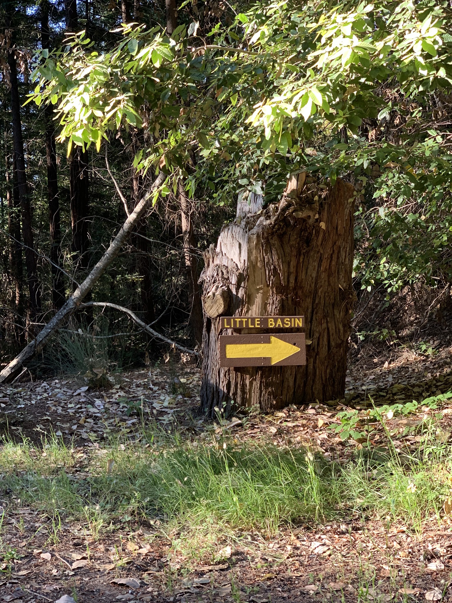 Stargazers Campground