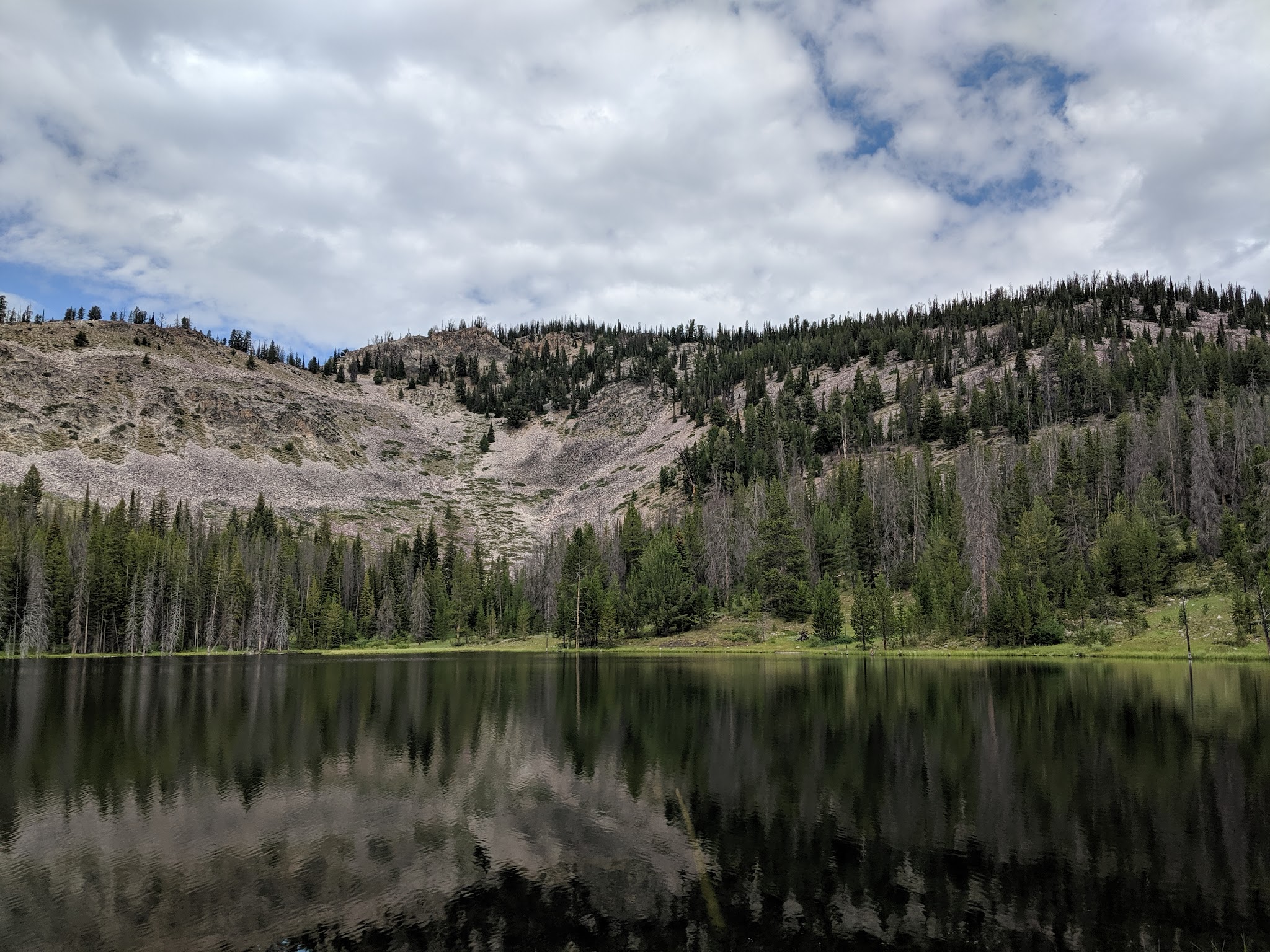 Little Bayhorse Camping Area