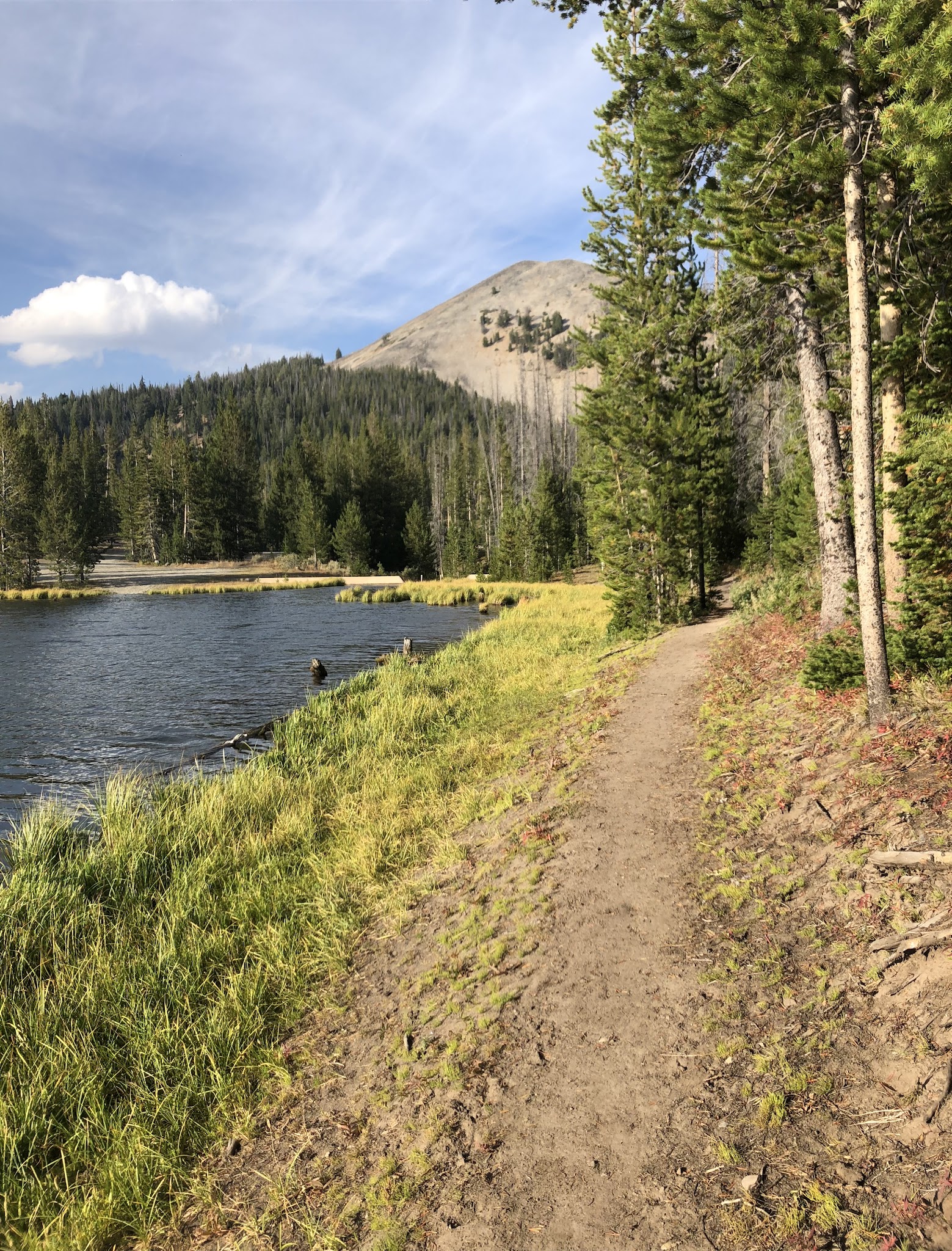 Little Bayhorse Camping Area