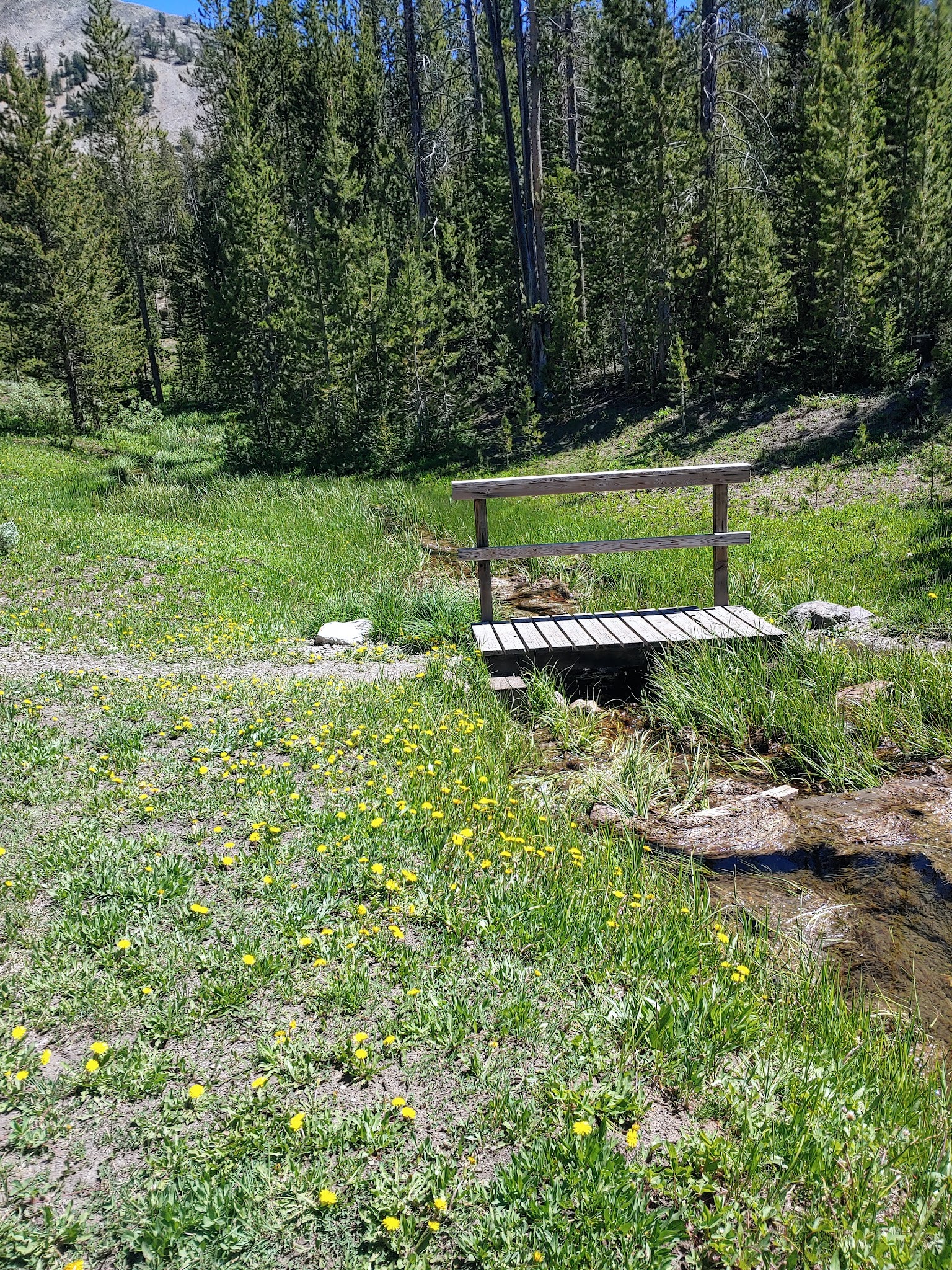 Little Bayhorse Camping Area