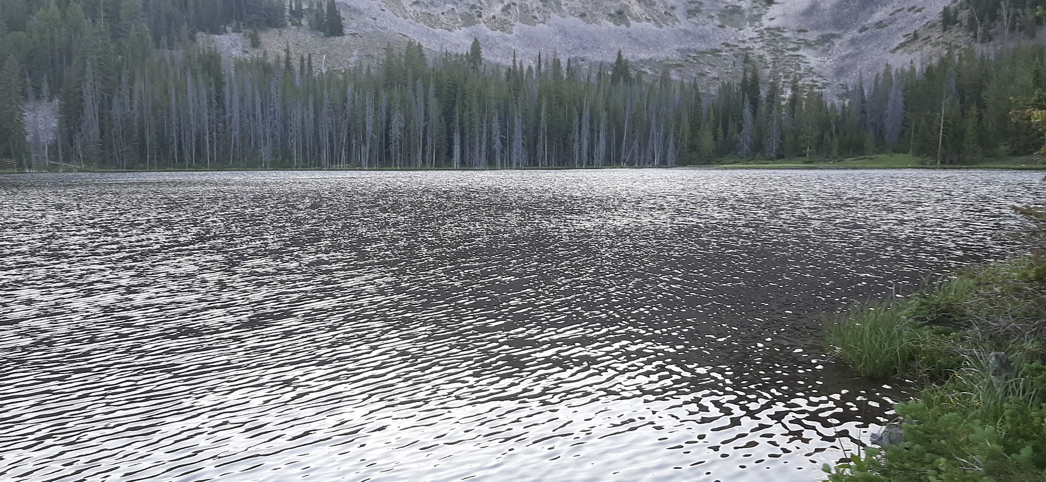 Little Bayhorse Camping Area