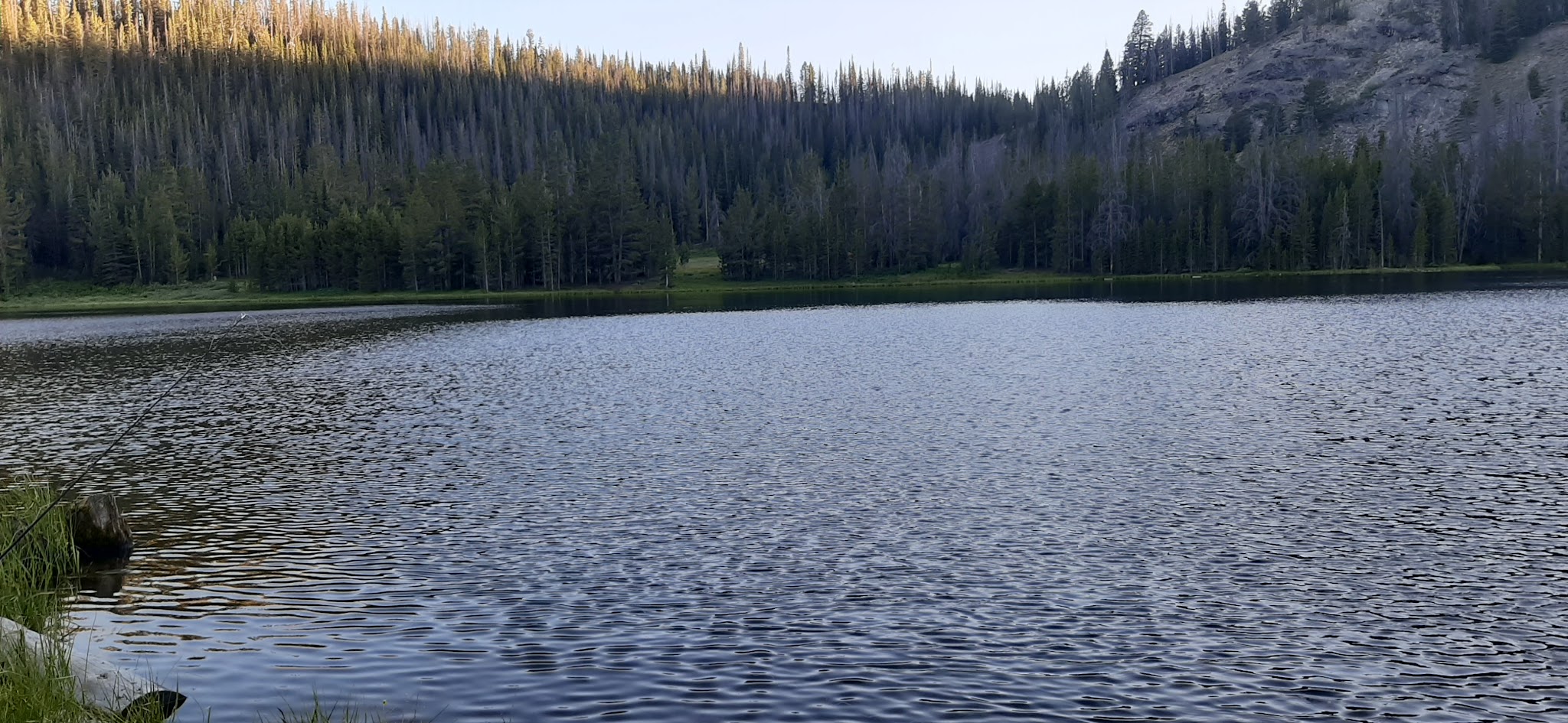 Little Bayhorse Camping Area