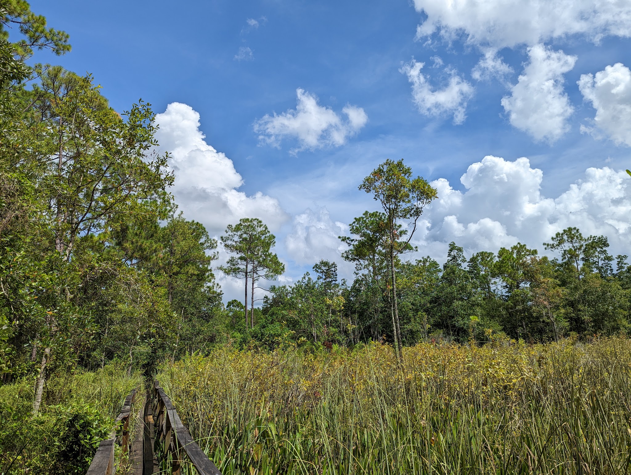 East Camp Zone Little Big Econ State Forest