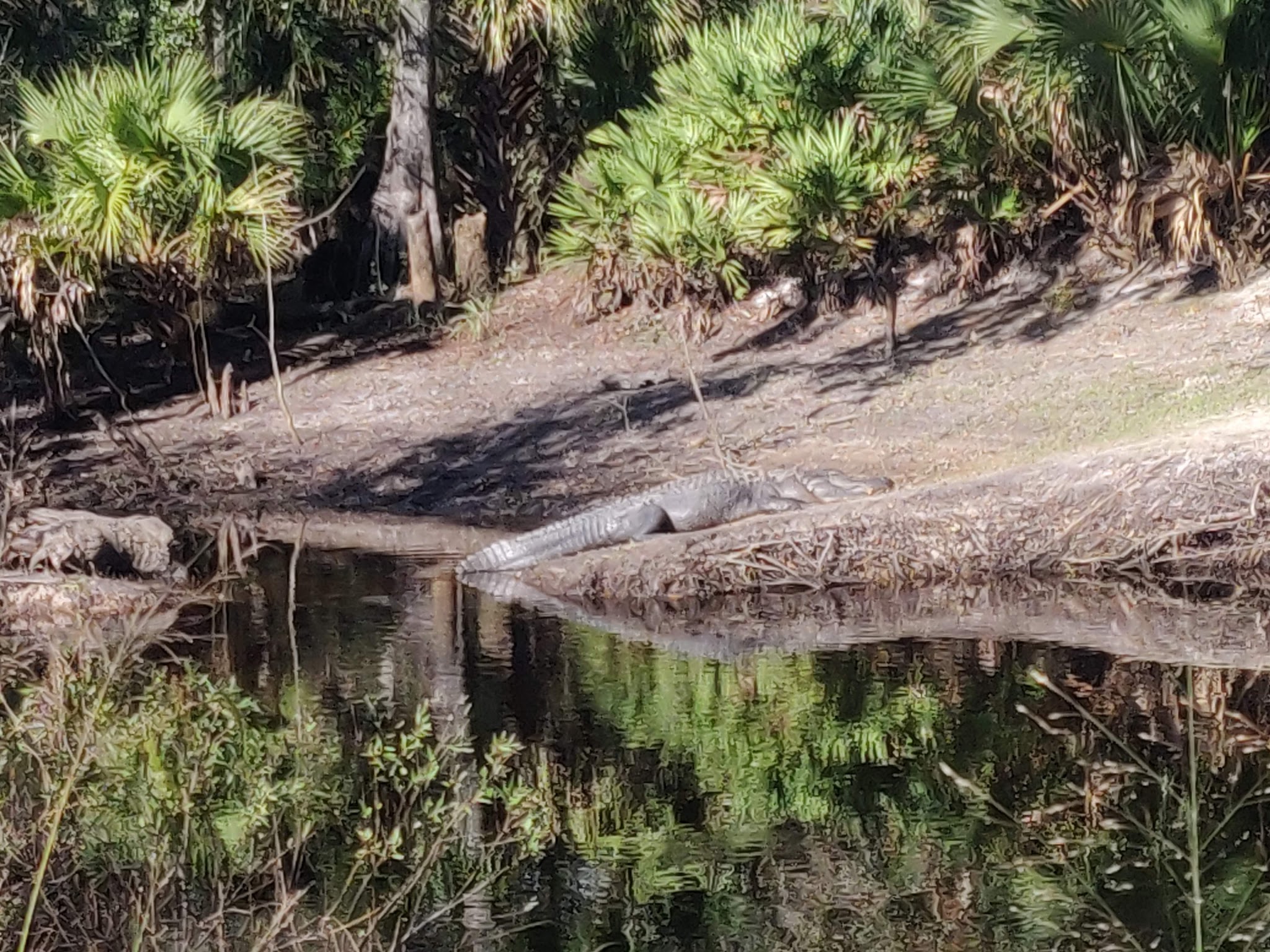 East Camp Zone Little Big Econ State Forest