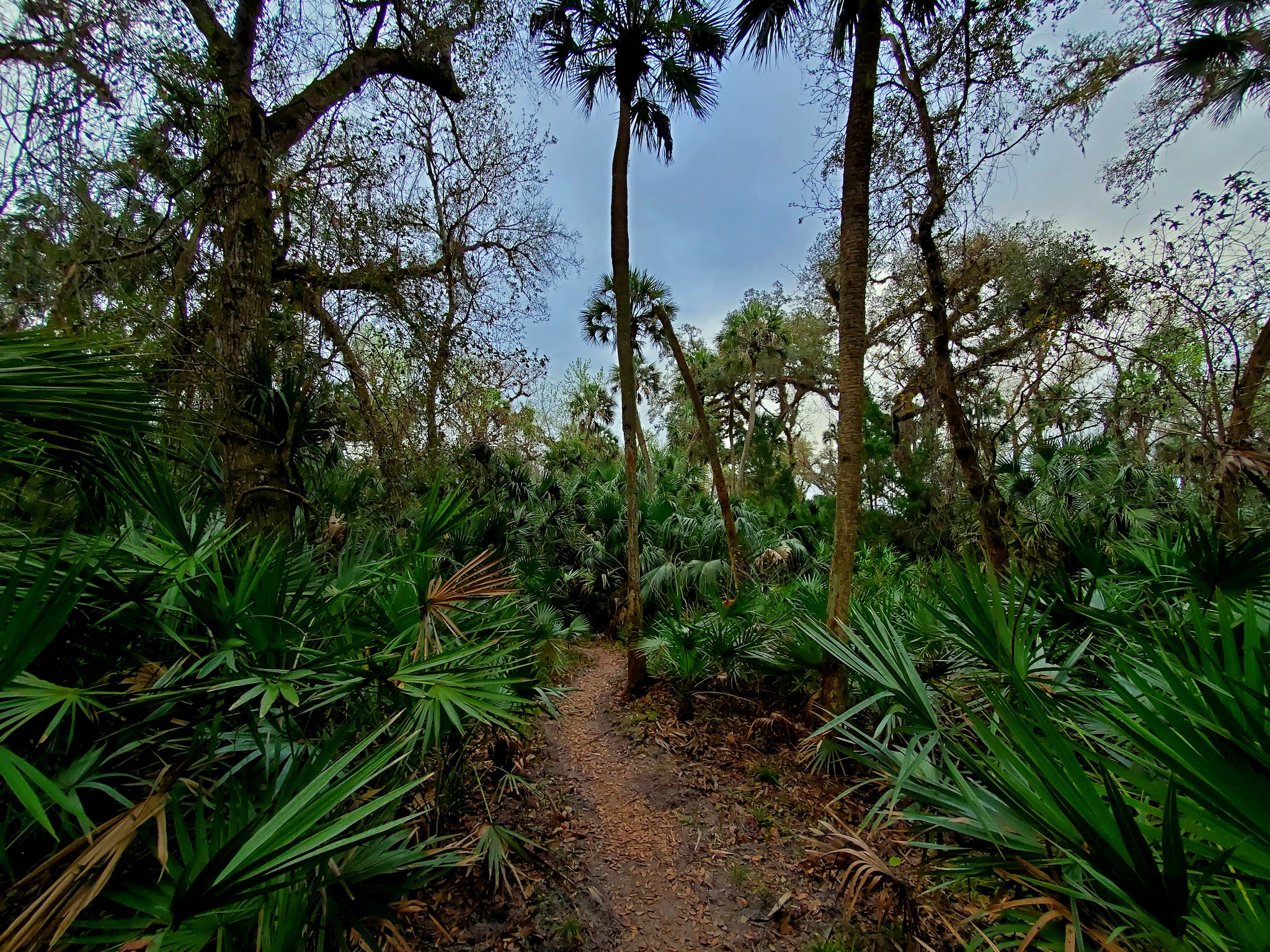 East Camp Zone Little Big Econ State Forest