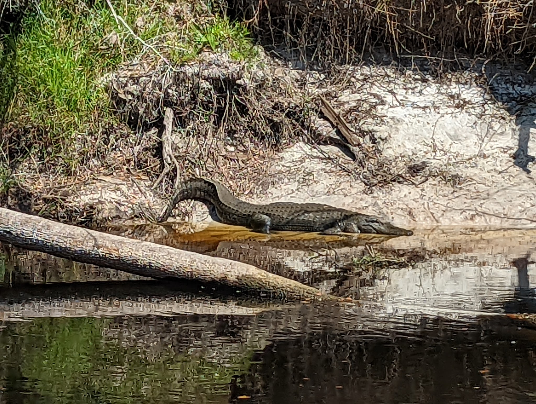 East Camp Zone Little Big Econ State Forest