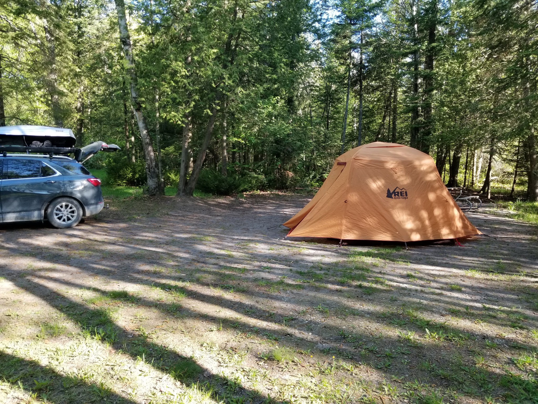 Little Brevort Lake-North State Forest Campground