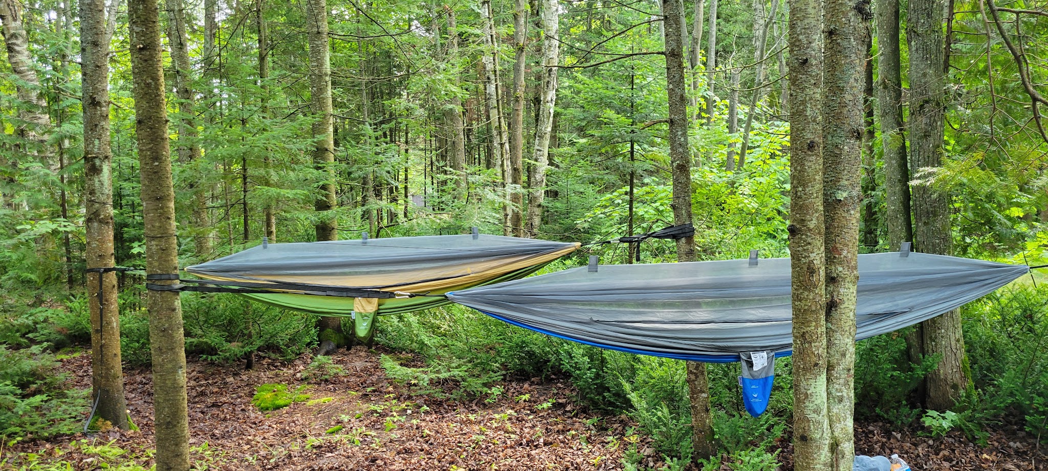 Little Brevort Lake-North State Forest Campground
