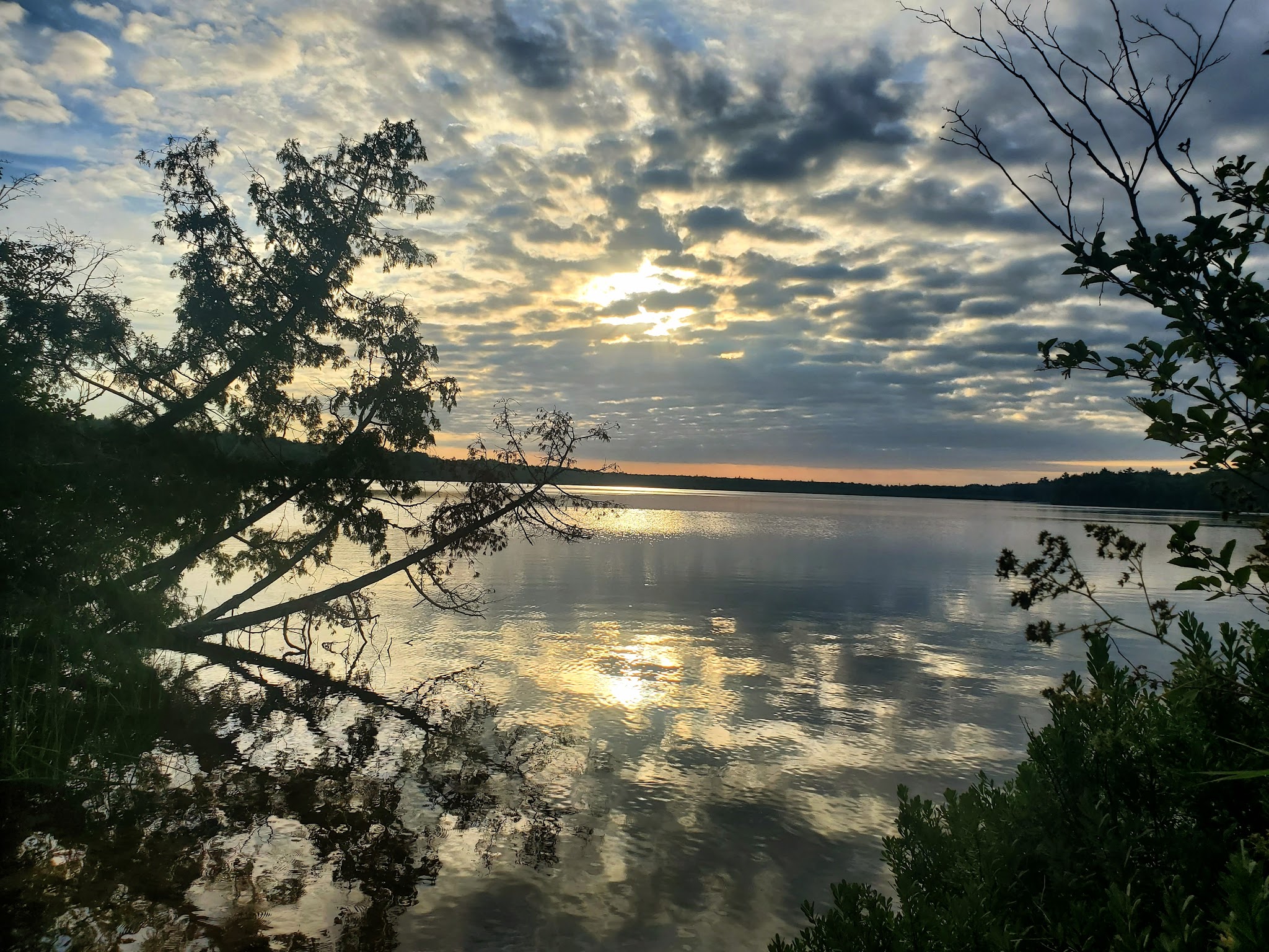 Little Brevort Lake-North State Forest Campground