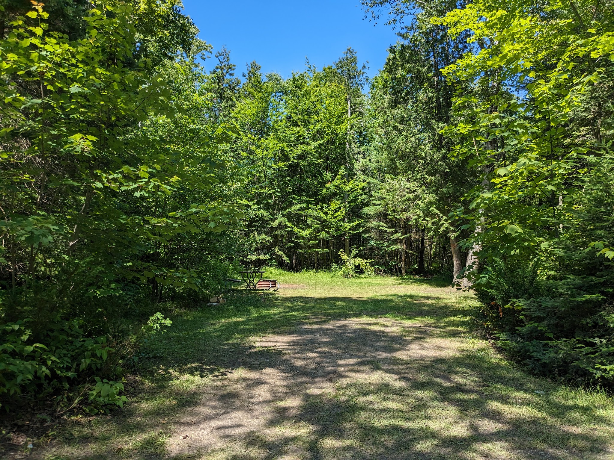 Little Brevort Lake-North State Forest Campground