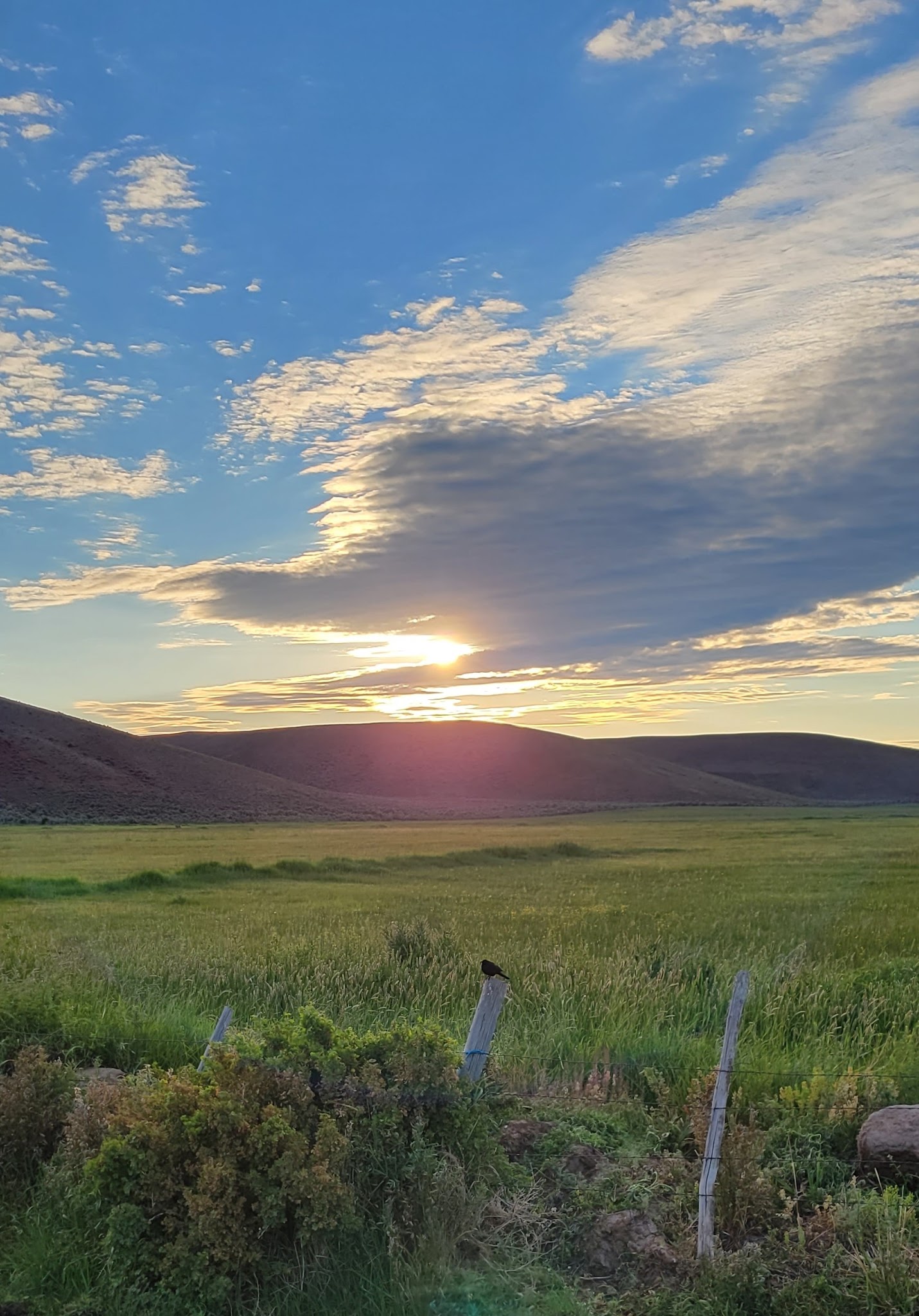 Little Creek Campground
