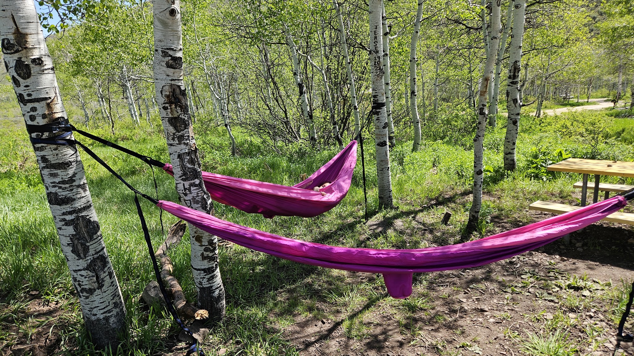 Wasatch Mountain - Little Deer Creek