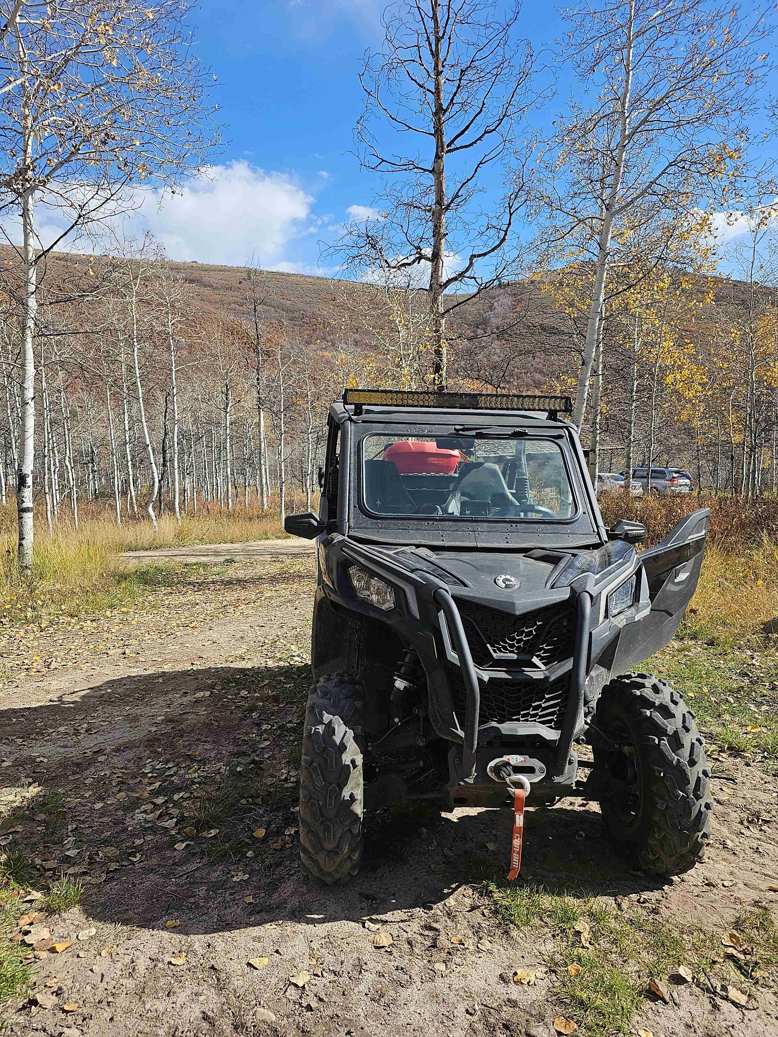 Wasatch Mountain - Little Deer Creek
