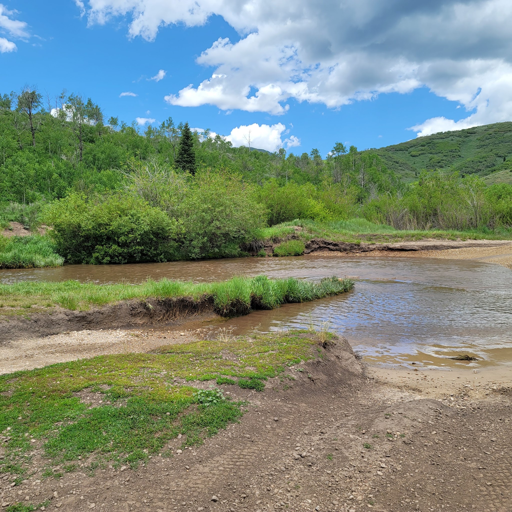 Wasatch Mountain - Little Deer Creek