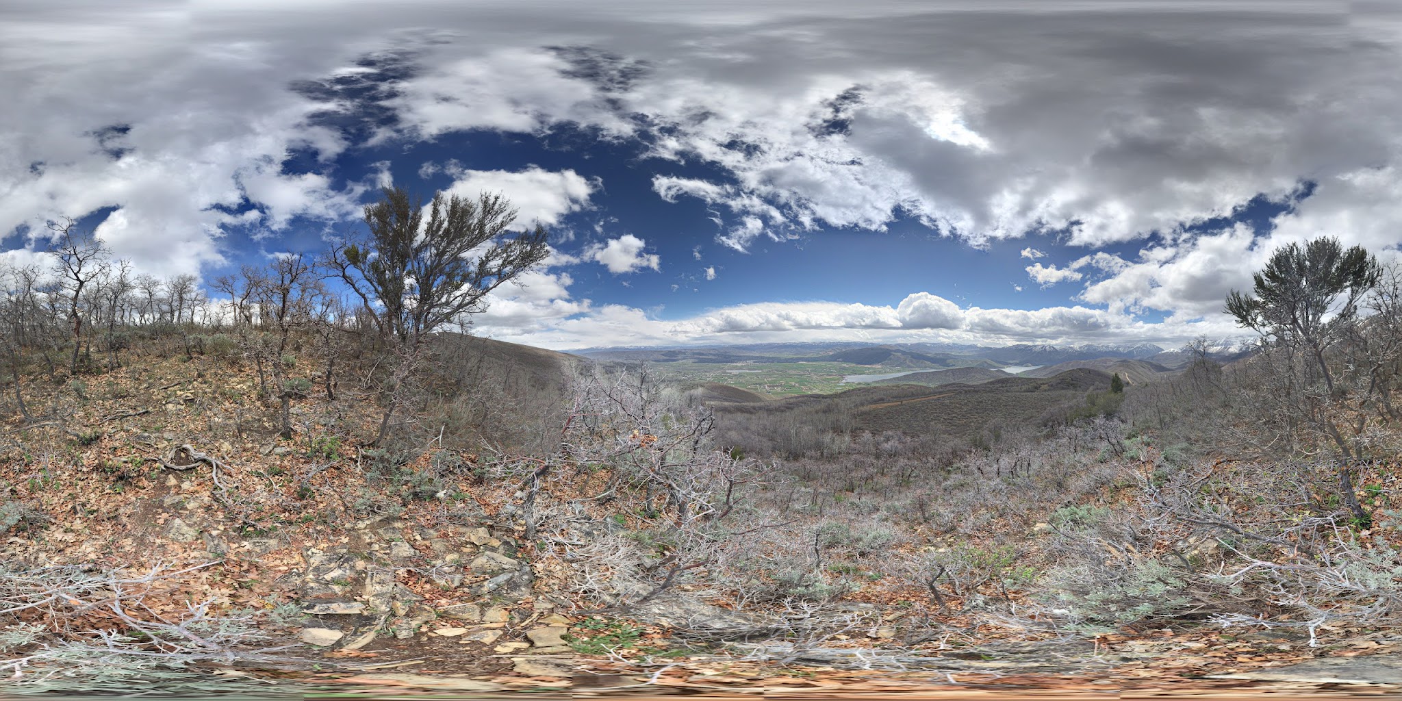 Wasatch Mountain - Little Deer Creek