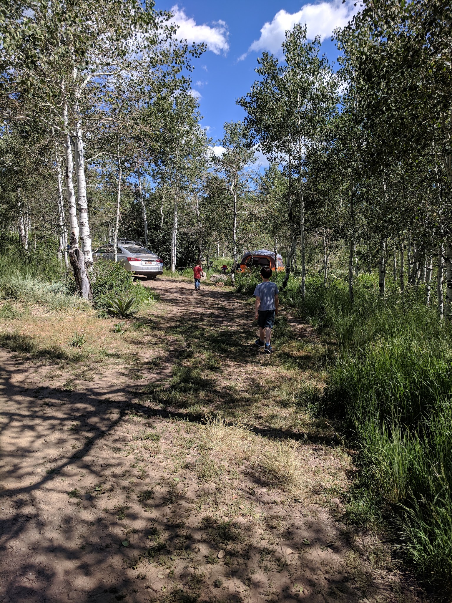 Wasatch Mountain - Little Deer Creek