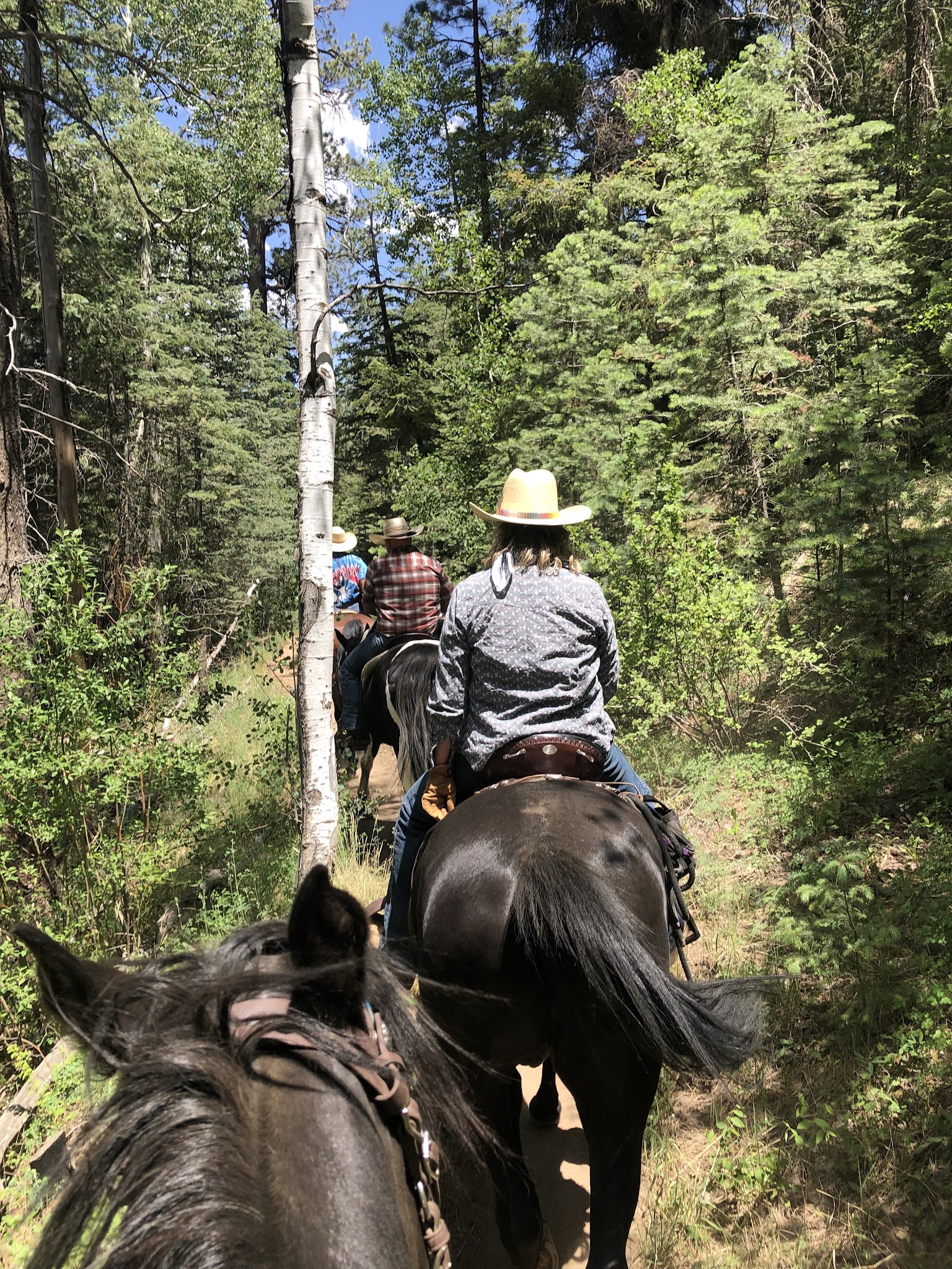 Little Elden Springs Horsecamp