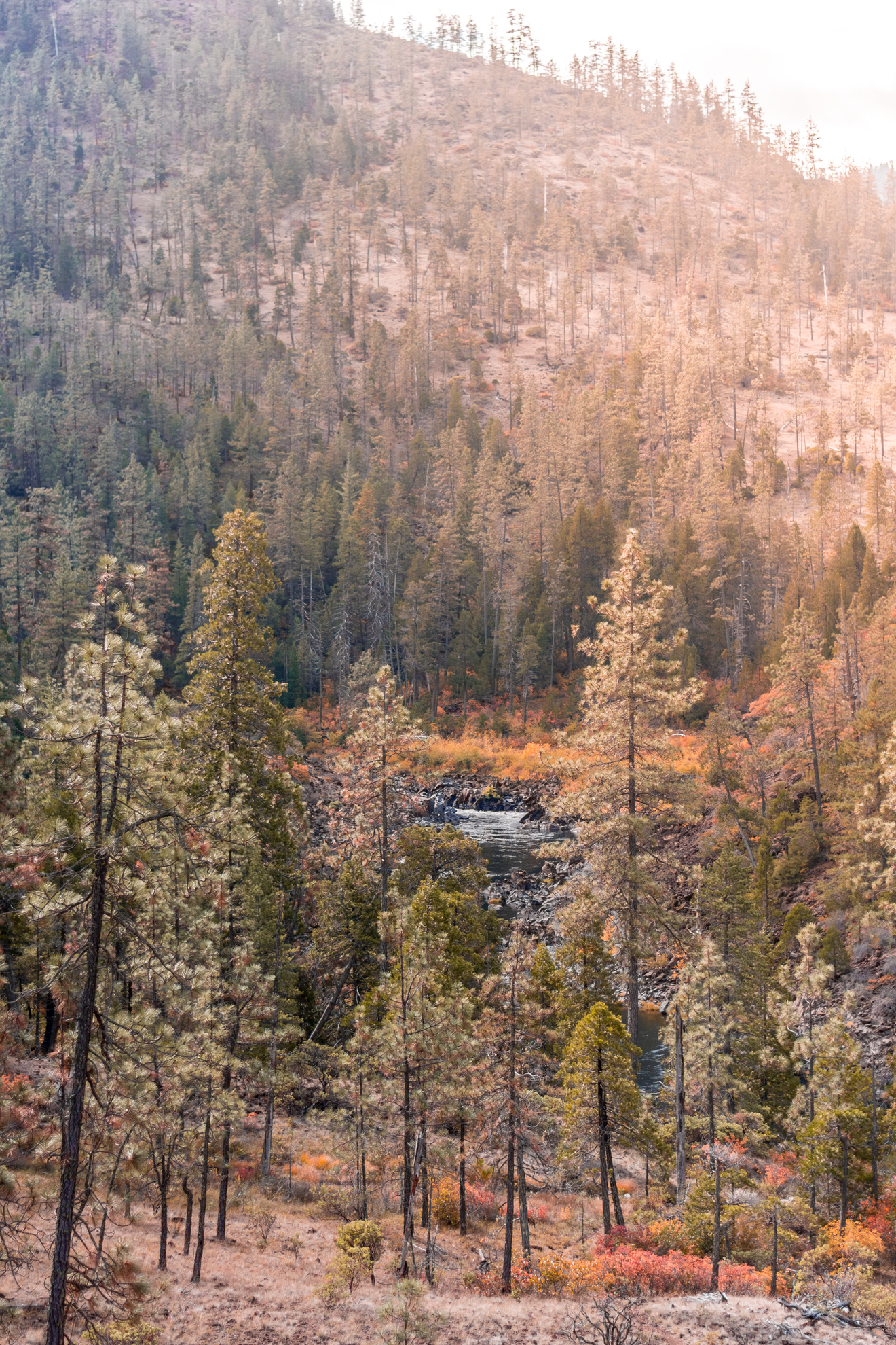 Little Falls Campground