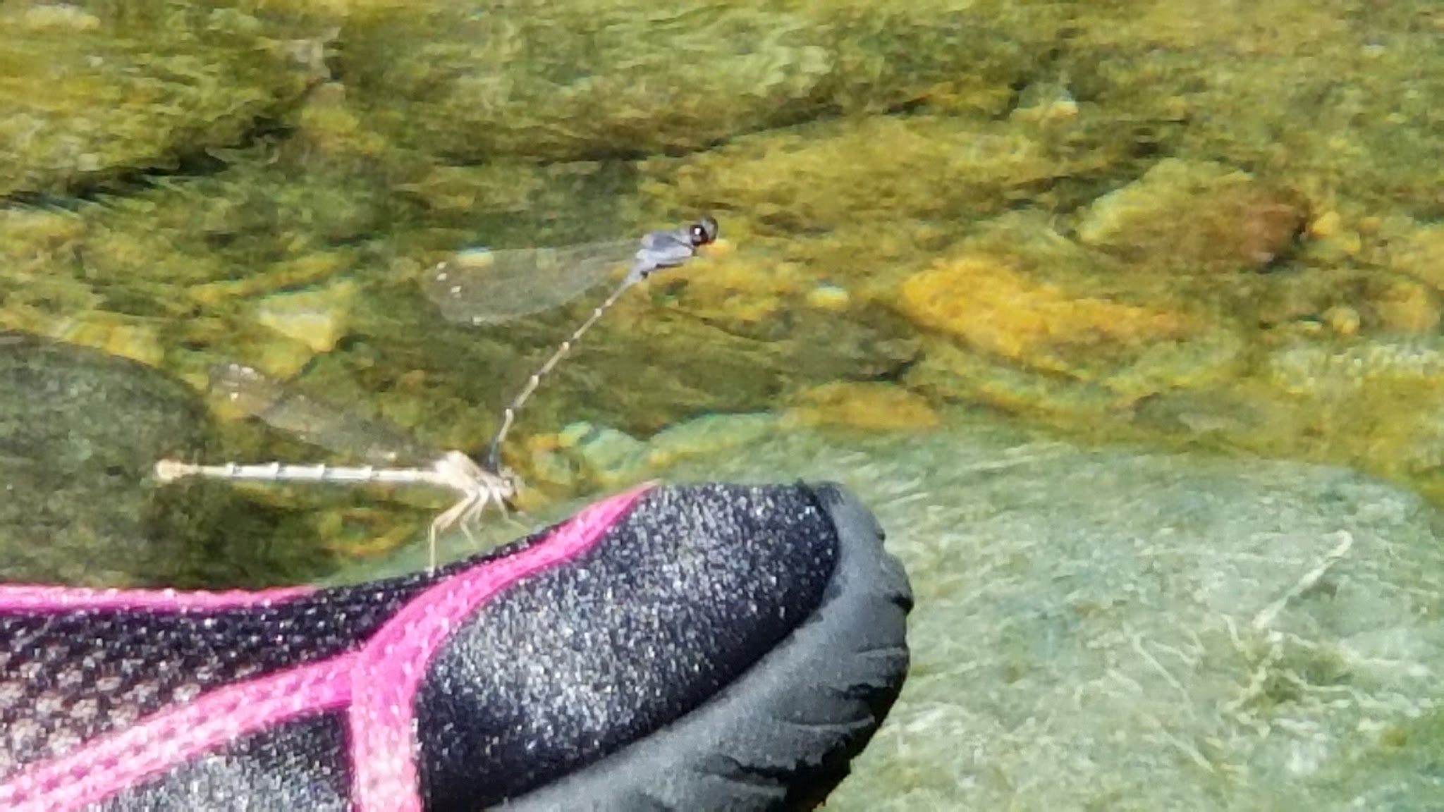 Little Falls Campground