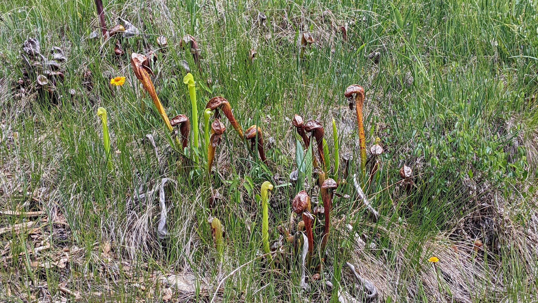Little Falls Campground